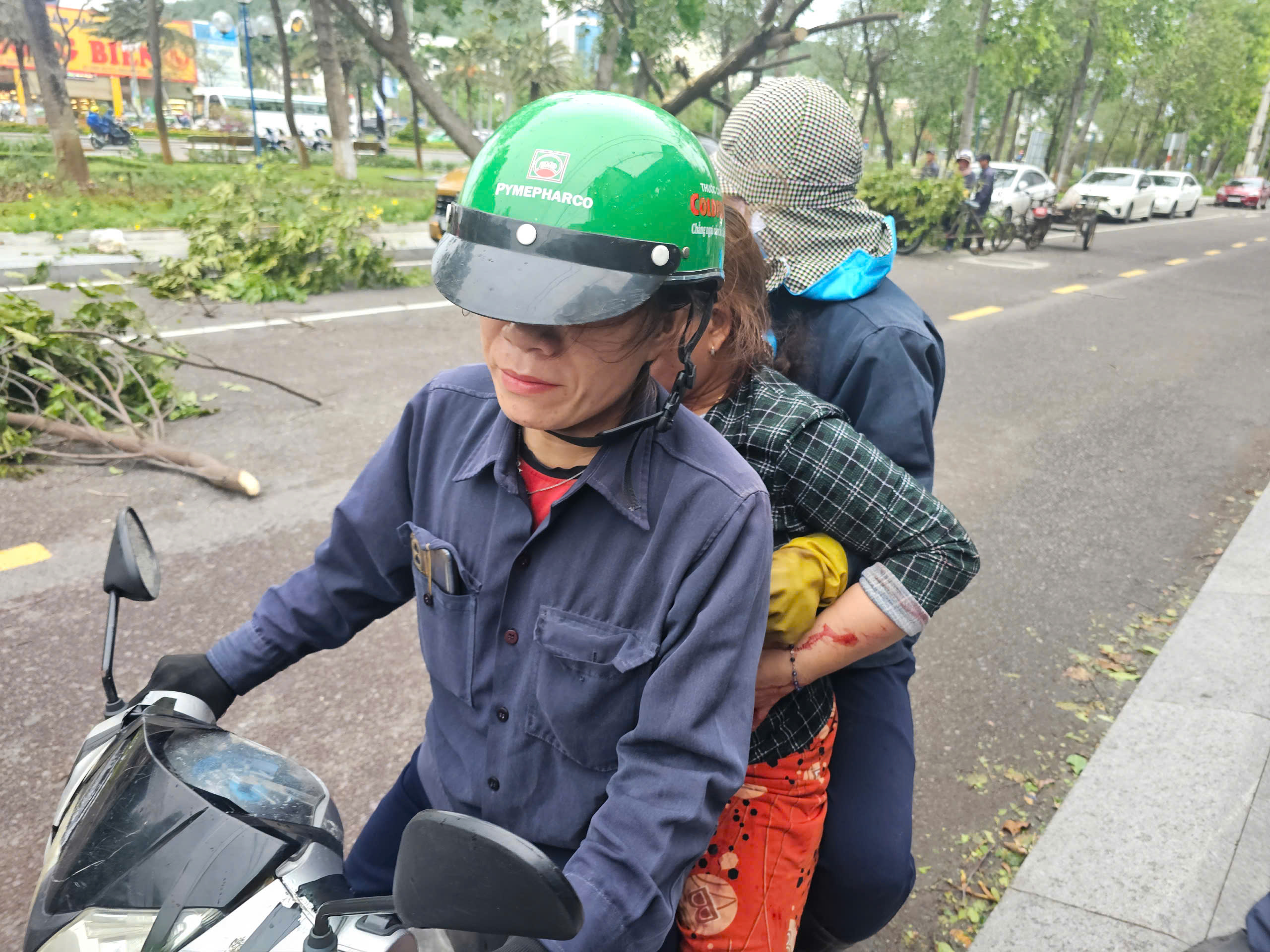 B&igrave;nh Định: C&acirc;y bật gốc giữa phố đ&egrave; tr&uacute;ng người phụ nữ đi xe m&aacute;y- Ảnh 2.