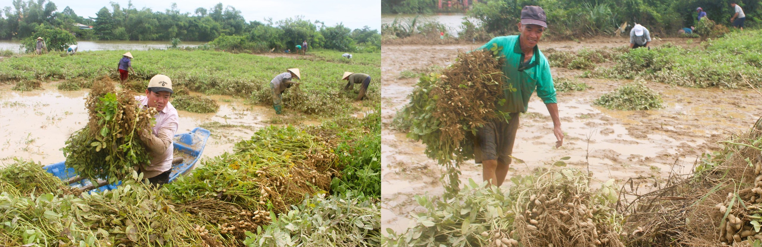 Lũ dữ bất thường g&acirc;y nhiều thiệt hại, người d&acirc;n Quảng Trị, Huế nỗ lực khắc phục- Ảnh 4.