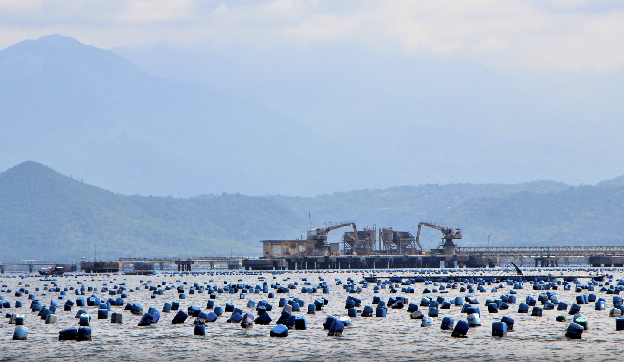 Xử lý dứt điểm tình trạng nuôi trồng thủy sản lấn chiếm vịnh Cam Ranh- Ảnh 1. Xử lý dứt điểm tình trạng nuôi trồng thủy sản lấn chiếm vịnh Cam Ranh- Ảnh 1.