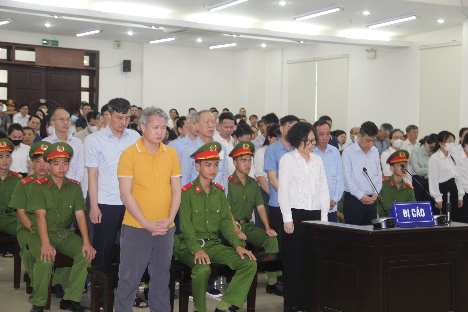 Vợ Trịnh Văn Quyết xin cho chồng được phạt tiền thay v&igrave; phạt t&ugrave; tội thao t&uacute;ng chứng kho&aacute;n- Ảnh 1.