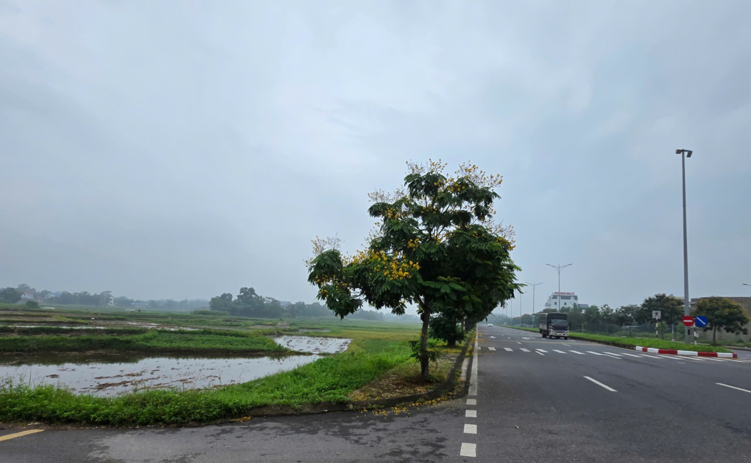 Th&aacute;i Nguy&ecirc;n đầu tư dự &aacute;n Cảng cạn Ti&ecirc;n Phong 1.700 tỷ đồng- Ảnh 1.