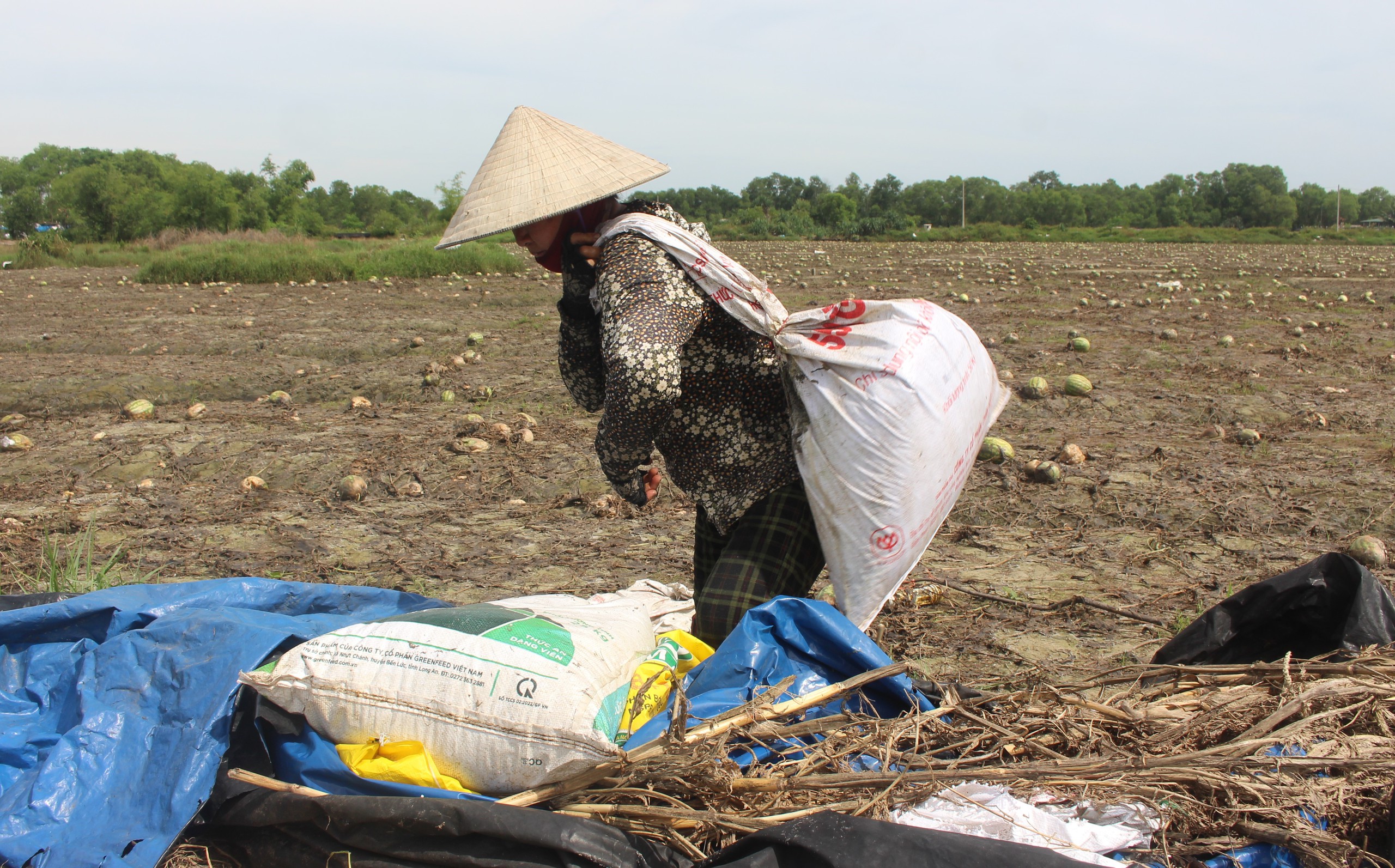Mưa lũ dị thường gây thiệt hại nặng, Quảng Trị công bố tình huống khẩn cấp thiên tai- Ảnh 1. Mưa lũ dị thường gây thiệt hại nặng, Quảng Trị công bố tình huống khẩn cấp thiên tai- Ảnh 1.