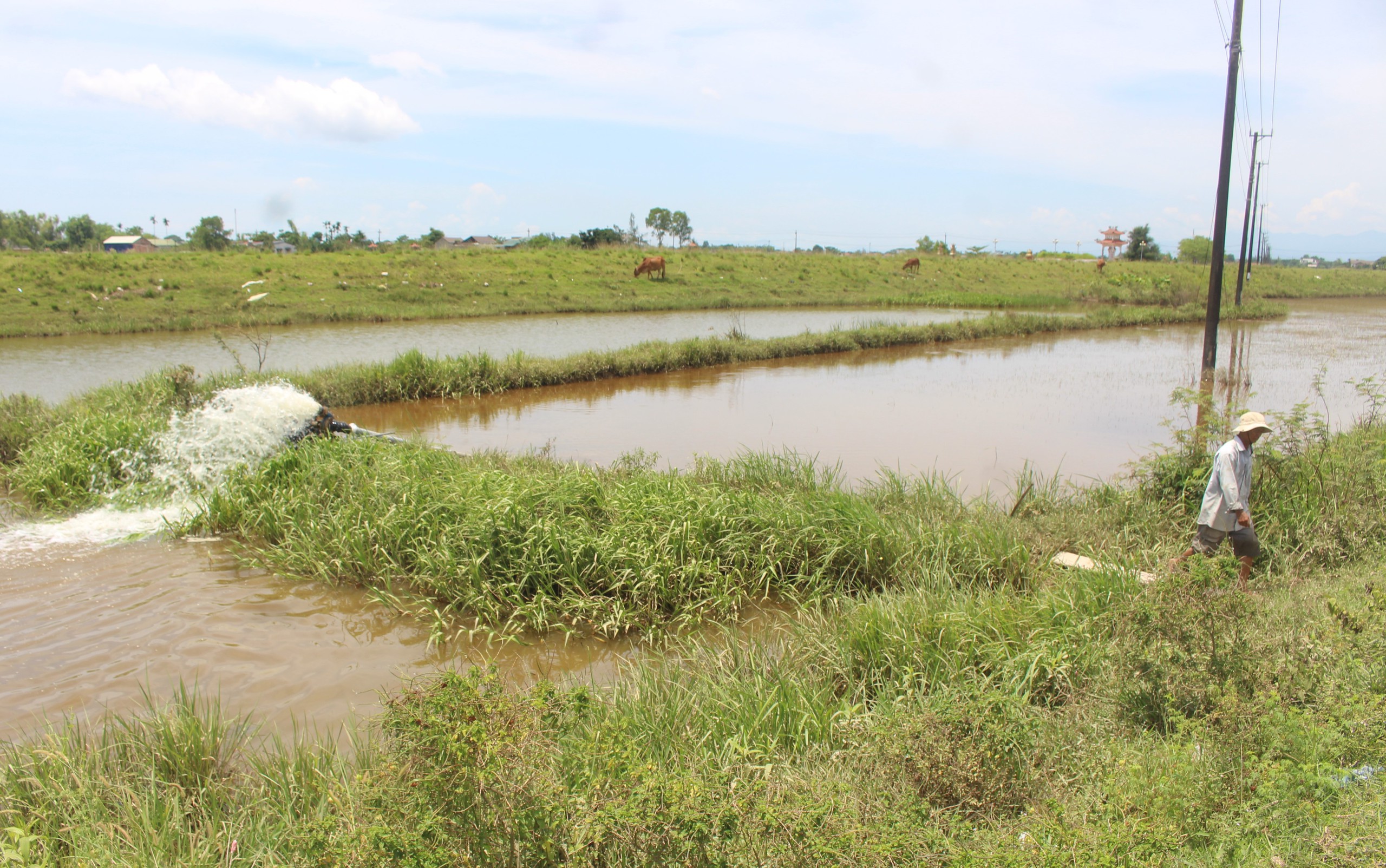 Mưa lũ dị thường gây thiệt hại nặng, Quảng Trị công bố tình huống khẩn cấp thiên tai- Ảnh 11. Mưa lũ dị thường gây thiệt hại nặng, Quảng Trị công bố tình huống khẩn cấp thiên tai- Ảnh 11.