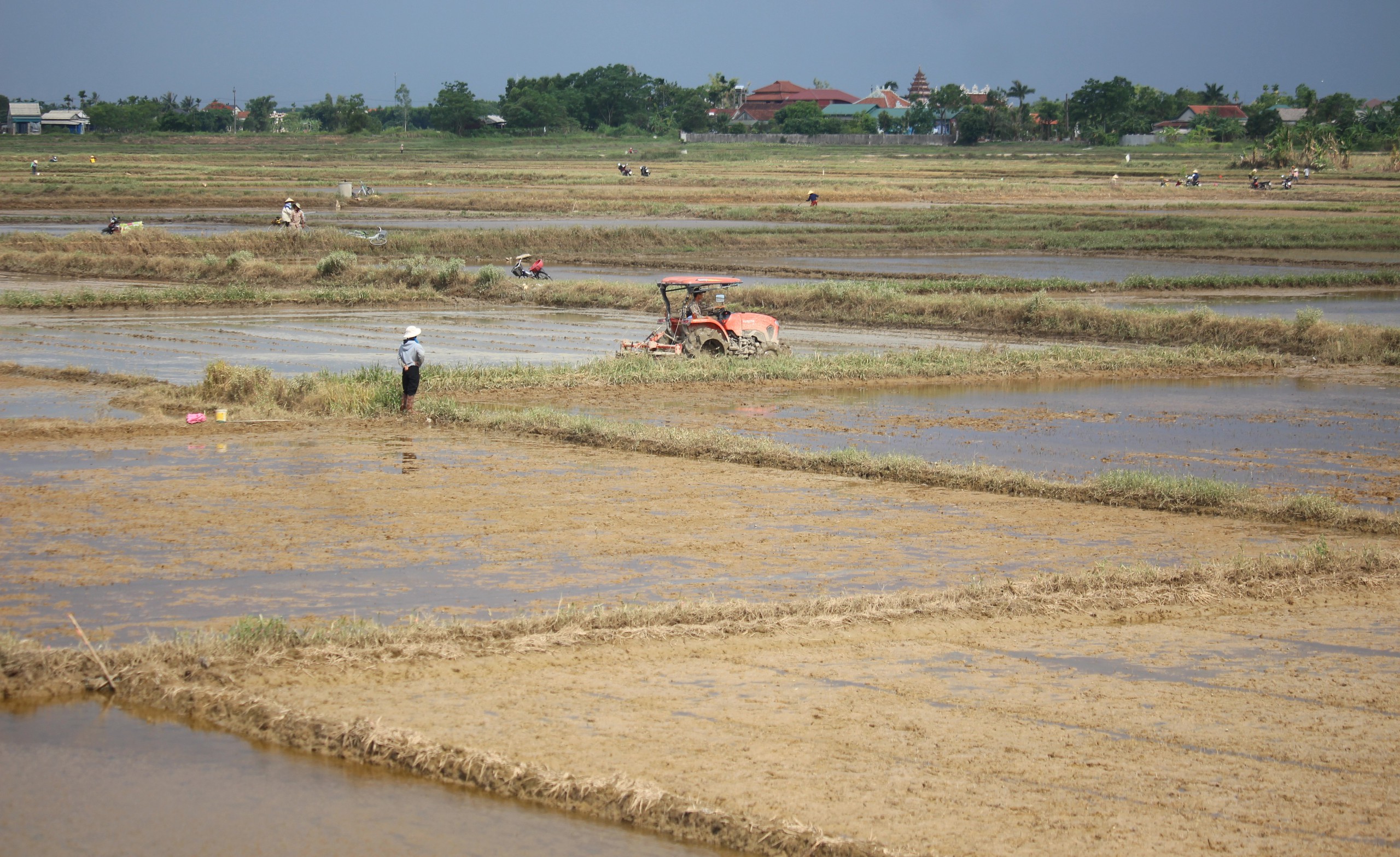 Mưa lũ dị thường gây thiệt hại nặng, Quảng Trị công bố tình huống khẩn cấp thiên tai- Ảnh 5. Mưa lũ dị thường gây thiệt hại nặng, Quảng Trị công bố tình huống khẩn cấp thiên tai- Ảnh 5.