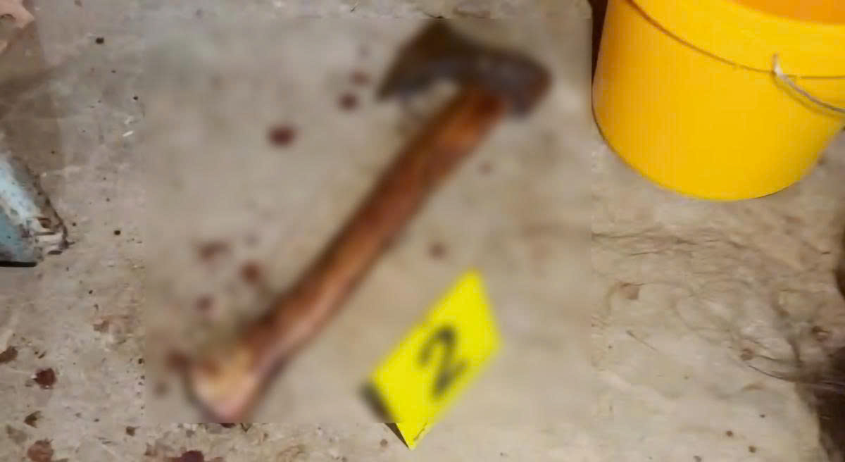 An Giang: T&ocirc;ng v&agrave;o ch&oacute; chạy tr&ecirc;n đường, nam thanh ni&ecirc;n ch&eacute;m chủ nu&ocirc;i ch&oacute; tử vong- Ảnh 2.