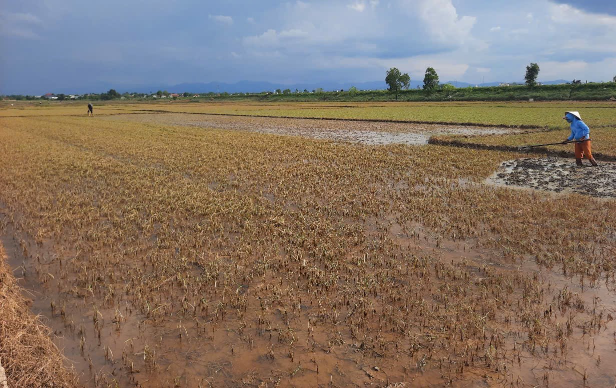 Quảng Trị: Kh&ocirc;i phục sản xuất, đảm bảo đời sống người d&acirc;n thiệt hại do mưa lũ bất thường- Ảnh 10.