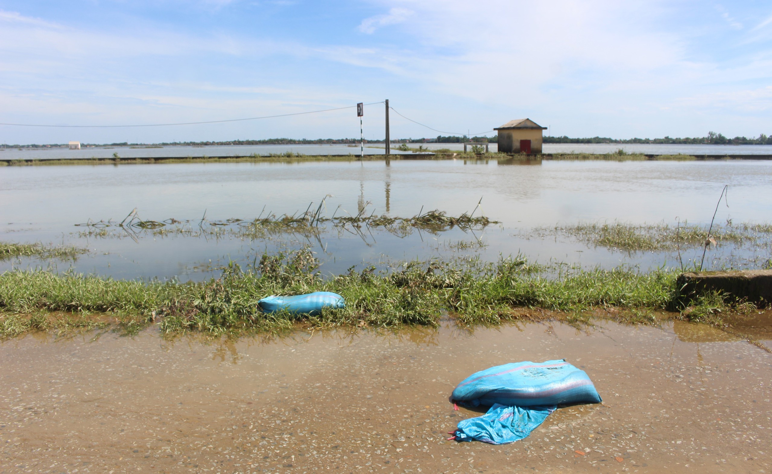 Quảng Trị: Kh&ocirc;i phục sản xuất, đảm bảo đời sống người d&acirc;n thiệt hại do mưa lũ bất thường- Ảnh 14.