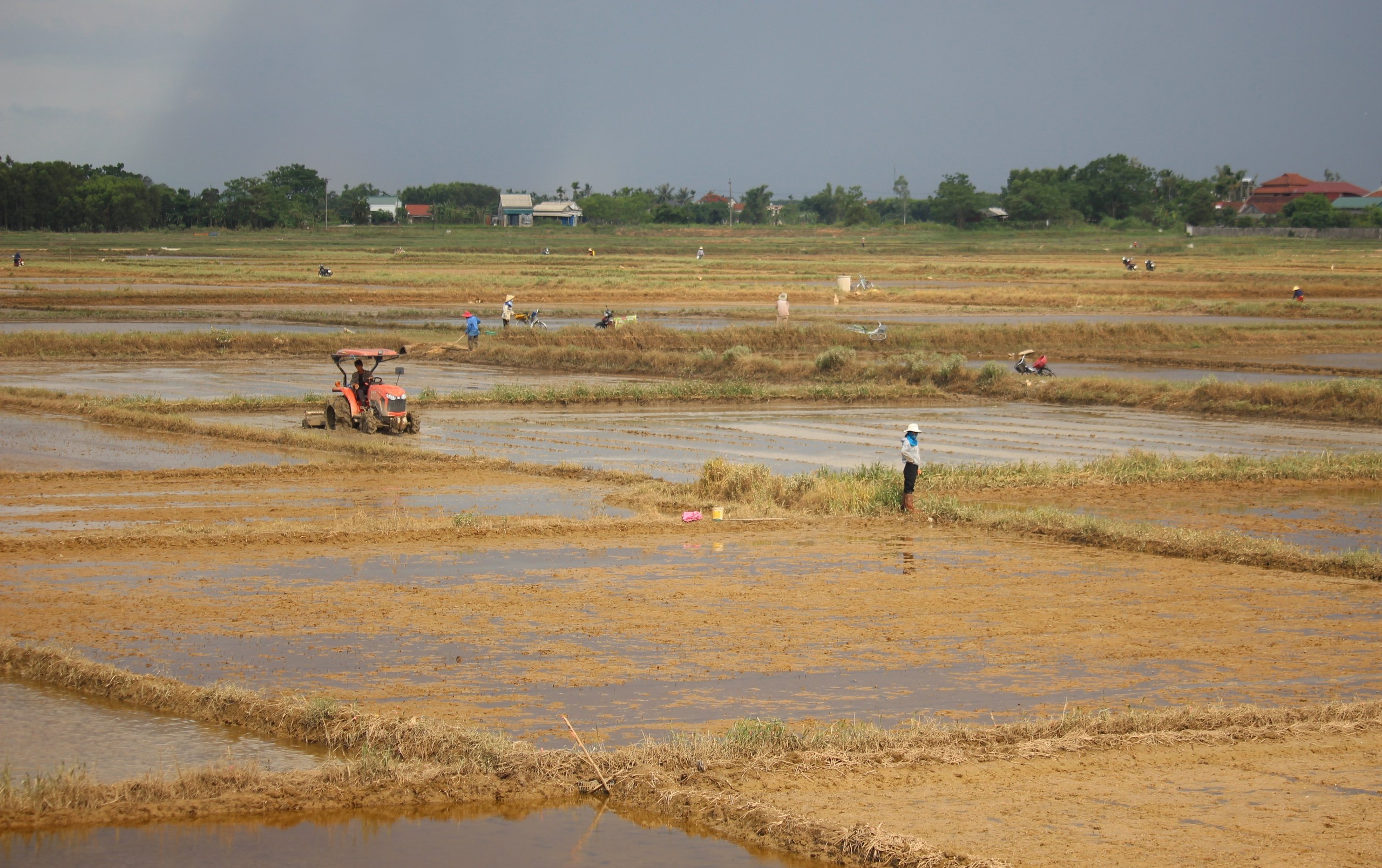 Quảng Trị: Kh&ocirc;i phục sản xuất, đảm bảo đời sống người d&acirc;n thiệt hại do mưa lũ bất thường- Ảnh 7.