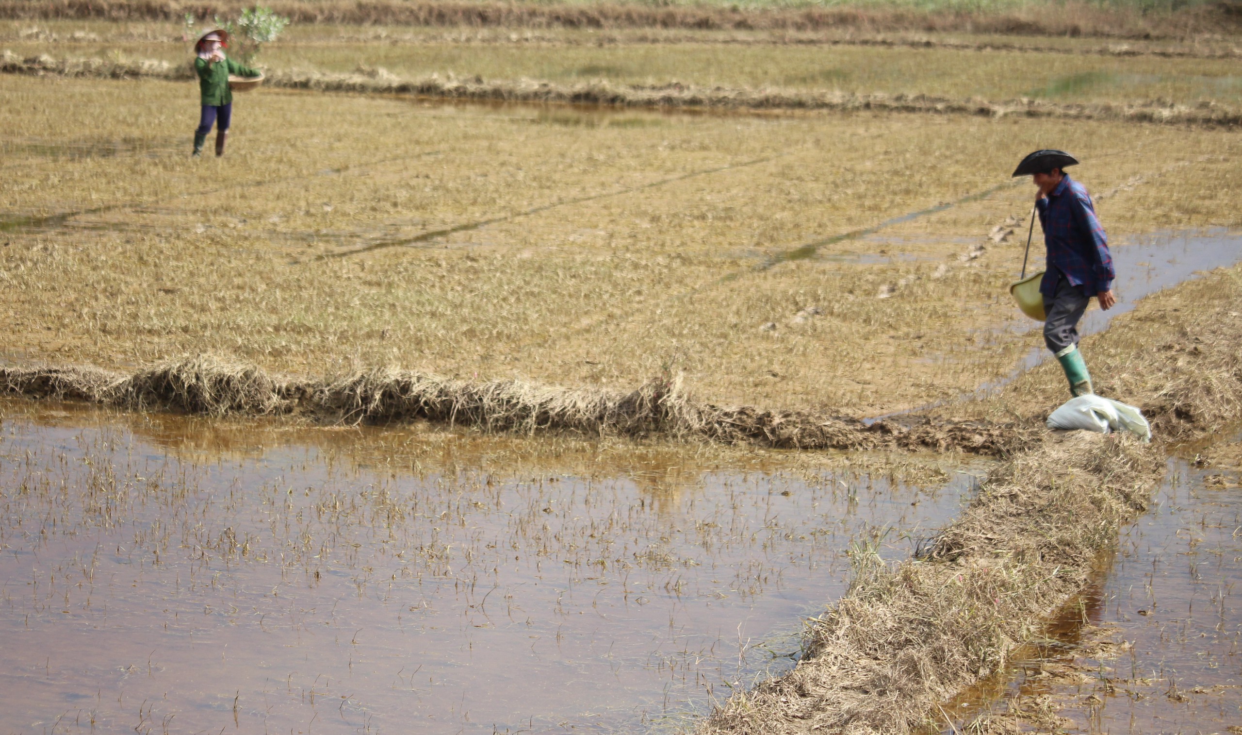 Quảng Trị: Kh&ocirc;i phục sản xuất, đảm bảo đời sống người d&acirc;n thiệt hại do mưa lũ bất thường- Ảnh 9.