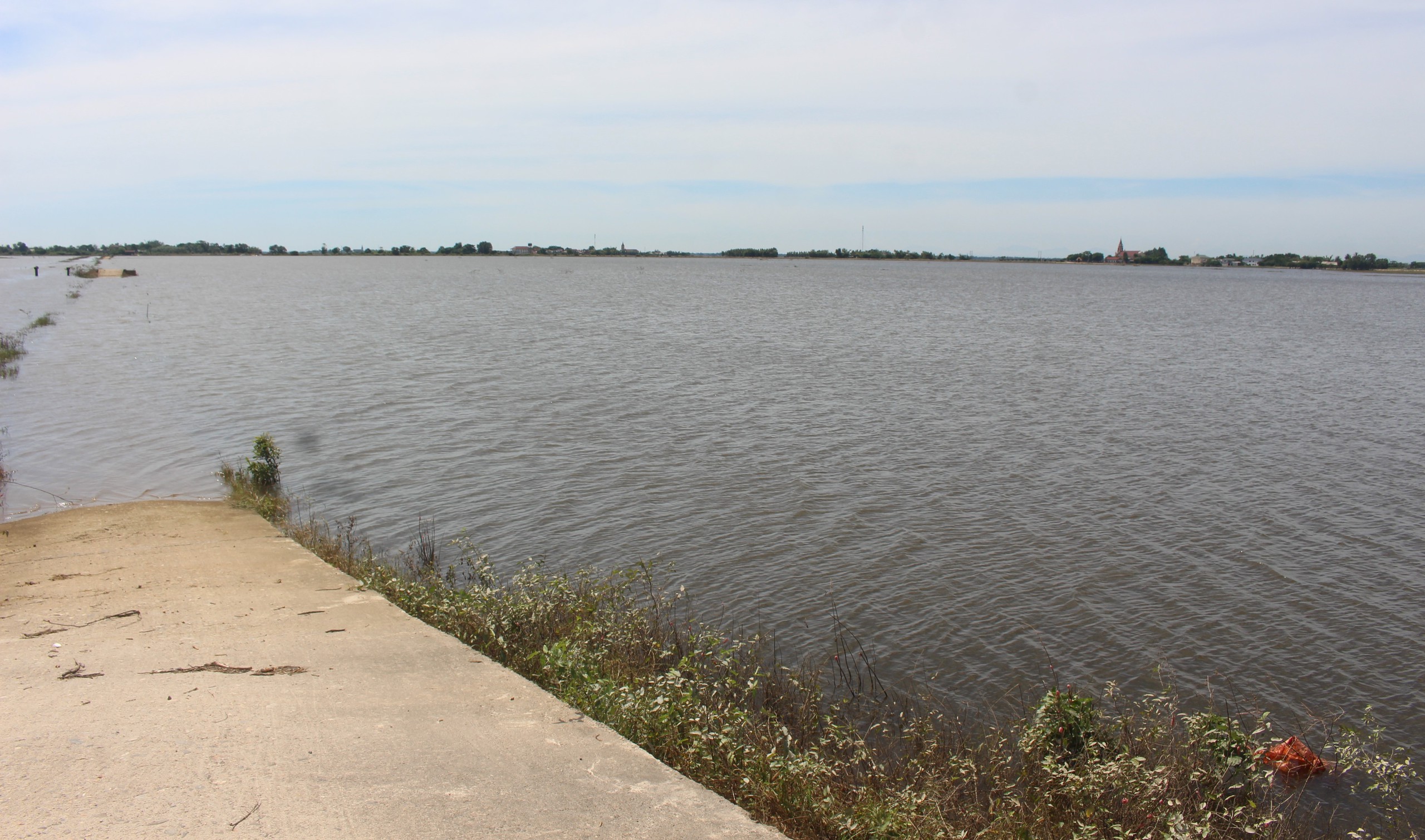 X&oacute;t xa h&agrave;ng ngh&igrave;n ha l&uacute;a ở Quảng Trị ngập &uacute;ng sau đợt lũ bất thường- Ảnh 7.