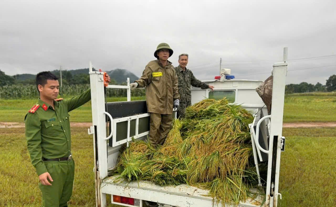C&ocirc;ng an Th&aacute;i Nguy&ecirc;n gi&uacute;p d&acirc;n giữa t&acirc;m lũ- Ảnh 3.