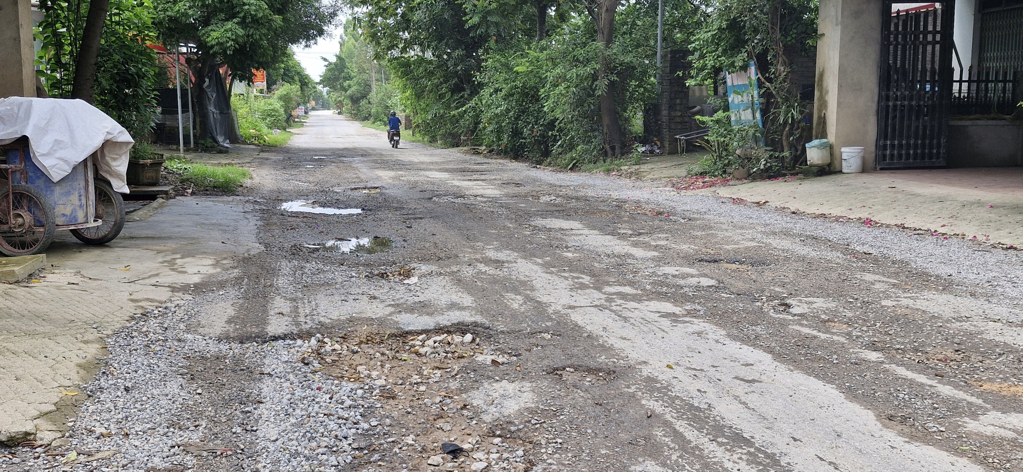 Th&aacute;i Nguy&ecirc;n, Lạng Sơn khắc phục hậu quả mưa lũ- Ảnh 4.