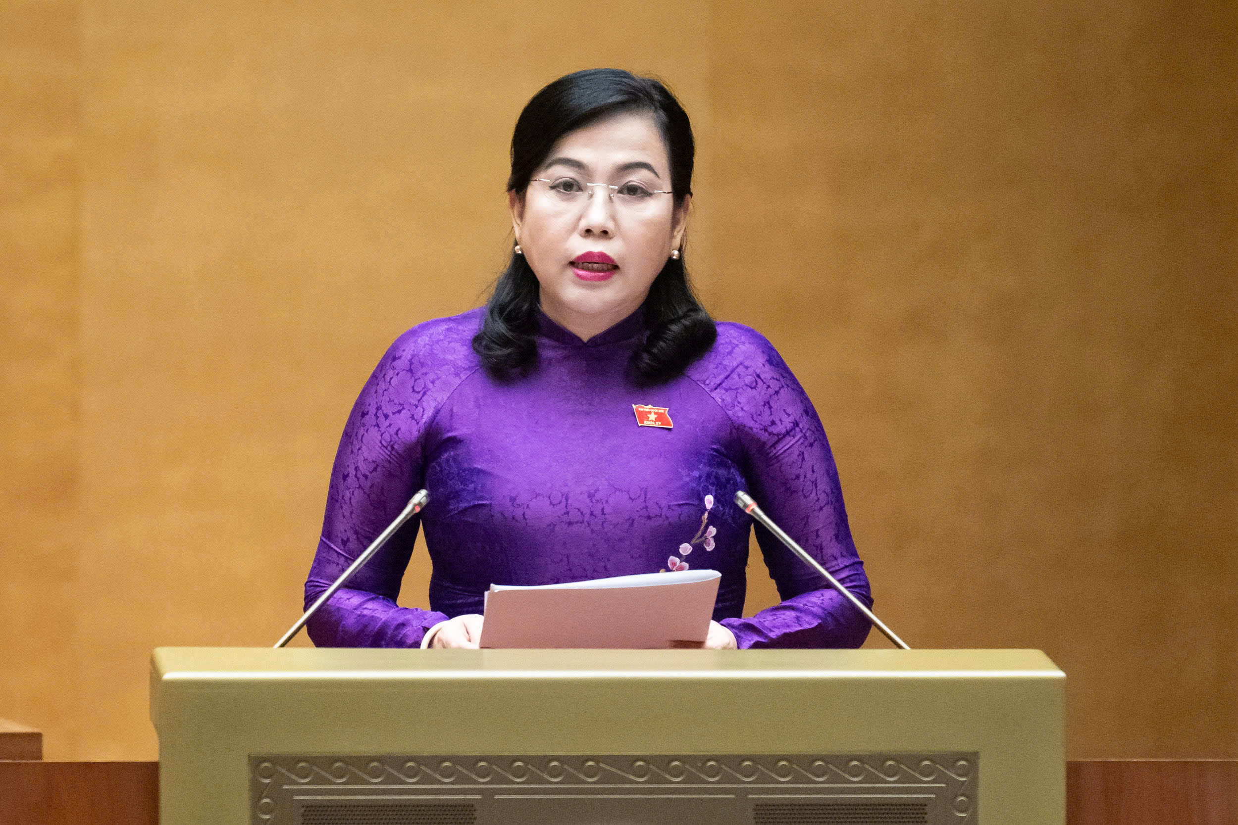 C&ocirc;ng d&acirc;n được ứng cử đại biểu Hội đồng nh&acirc;n d&acirc;n ở hai cấp c&ugrave;ng một nhiệm kỳ- Ảnh 2.