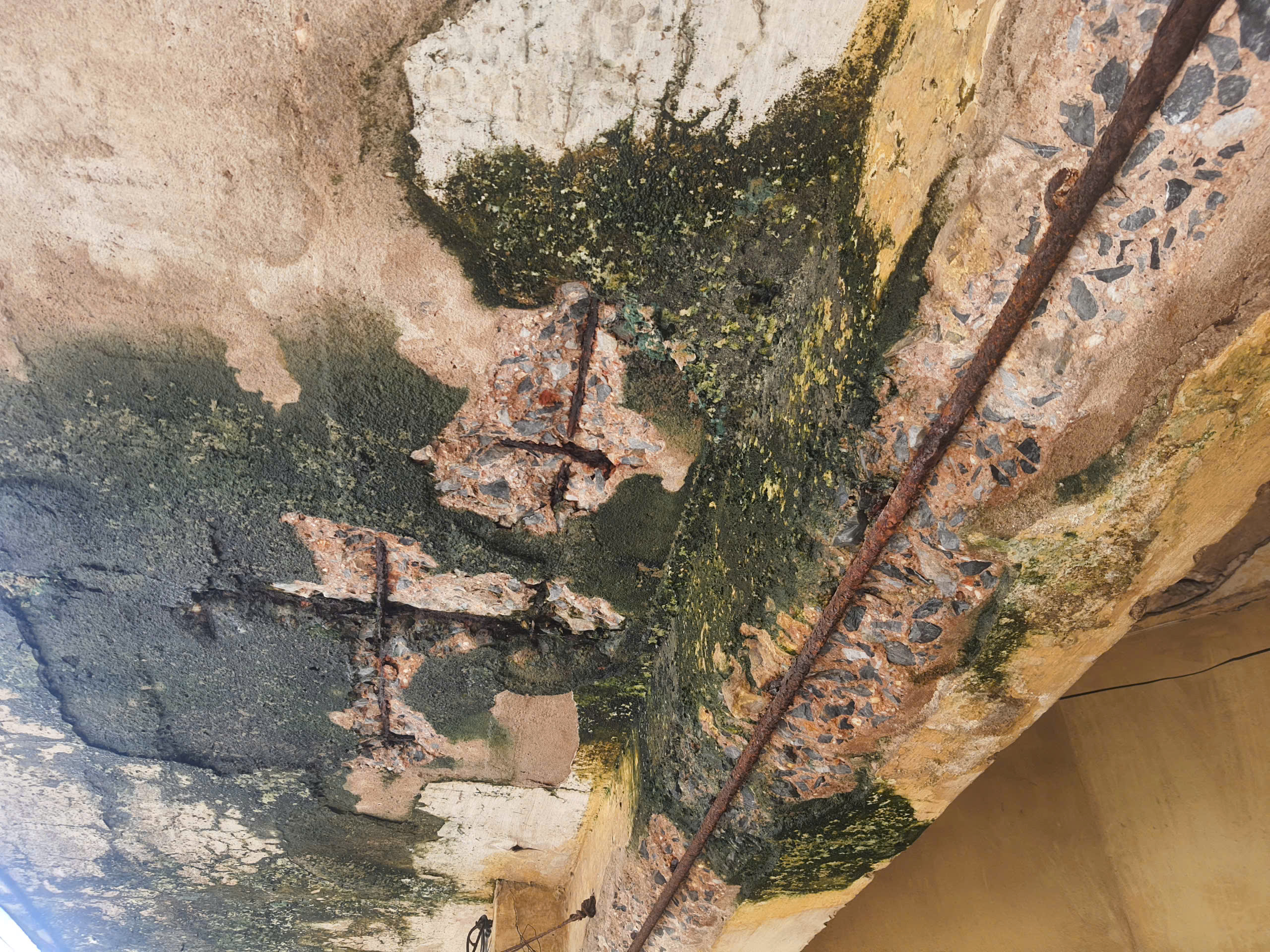 Hải Dương: Khu tập thể Nh&agrave; m&aacute;y Bơm xuống cấp, h&agrave;ng trăm hộ d&acirc;n sống trong bất an- Ảnh 9.