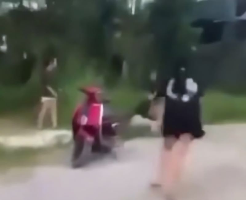 Thanh Hóa: Công an vào cuộc điều tra vụ hai nhóm nữ sinh chém nhau- Ảnh 1. Thanh Hóa: Công an vào cuộc điều tra vụ hai nhóm nữ sinh chém nhau- Ảnh 1.