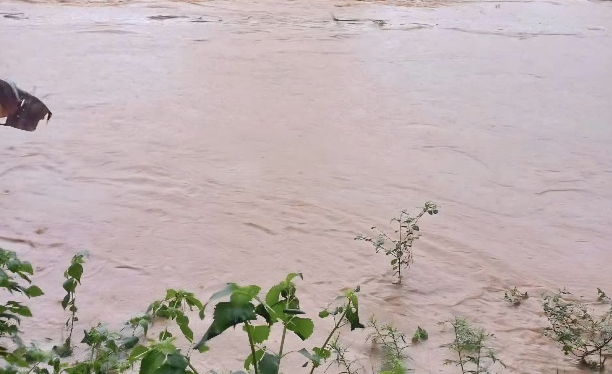 T&igrave;m thấy thi thể người phụ nữ bị lũ cuốn tr&ocirc;i ở Y&ecirc;n B&aacute;i- Ảnh 1.