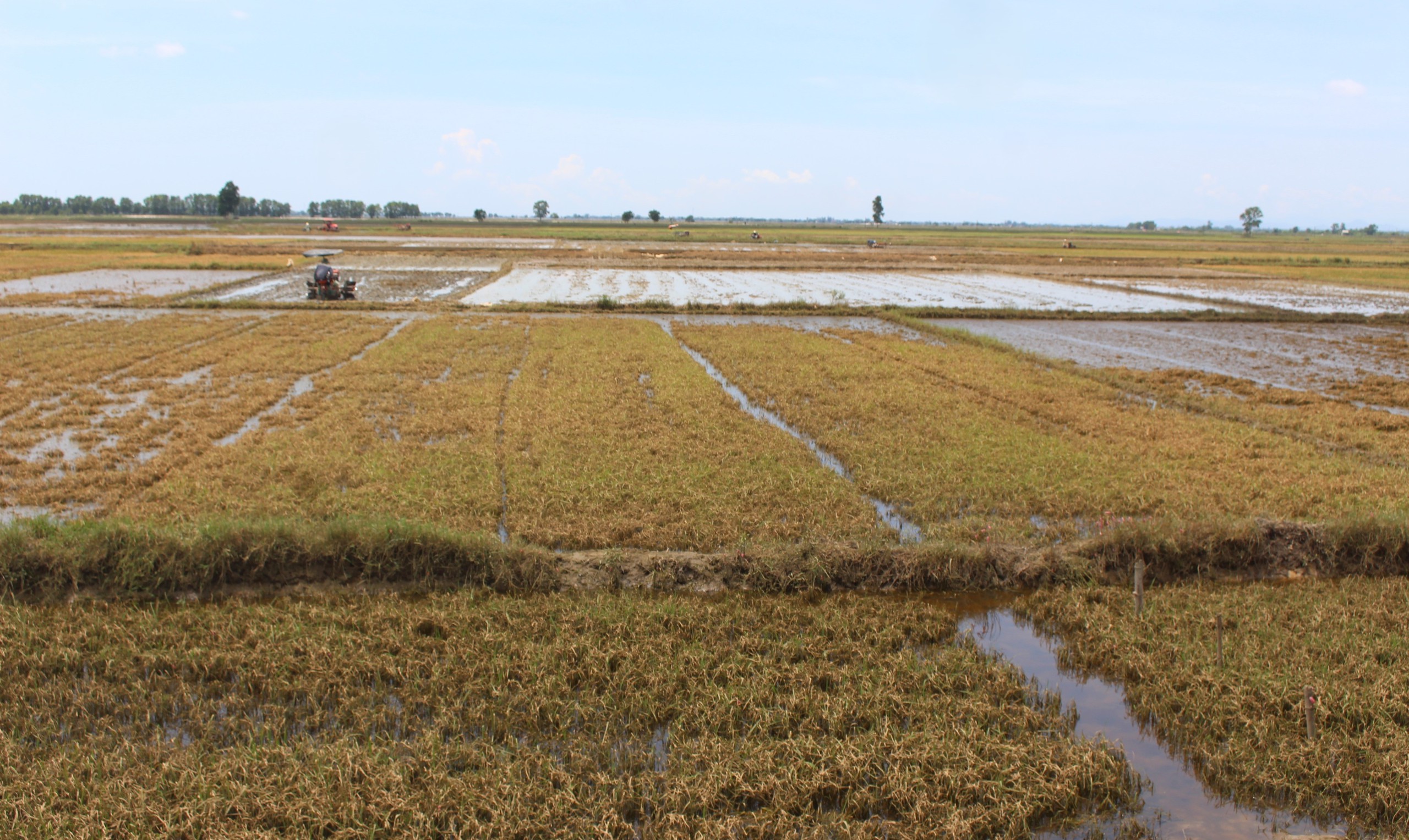 Quảng Trị: 5 c&ocirc;ng tr&igrave;nh cần khắc phục khẩn cấp sau đợt mưa lũ bất thường- Ảnh 5.