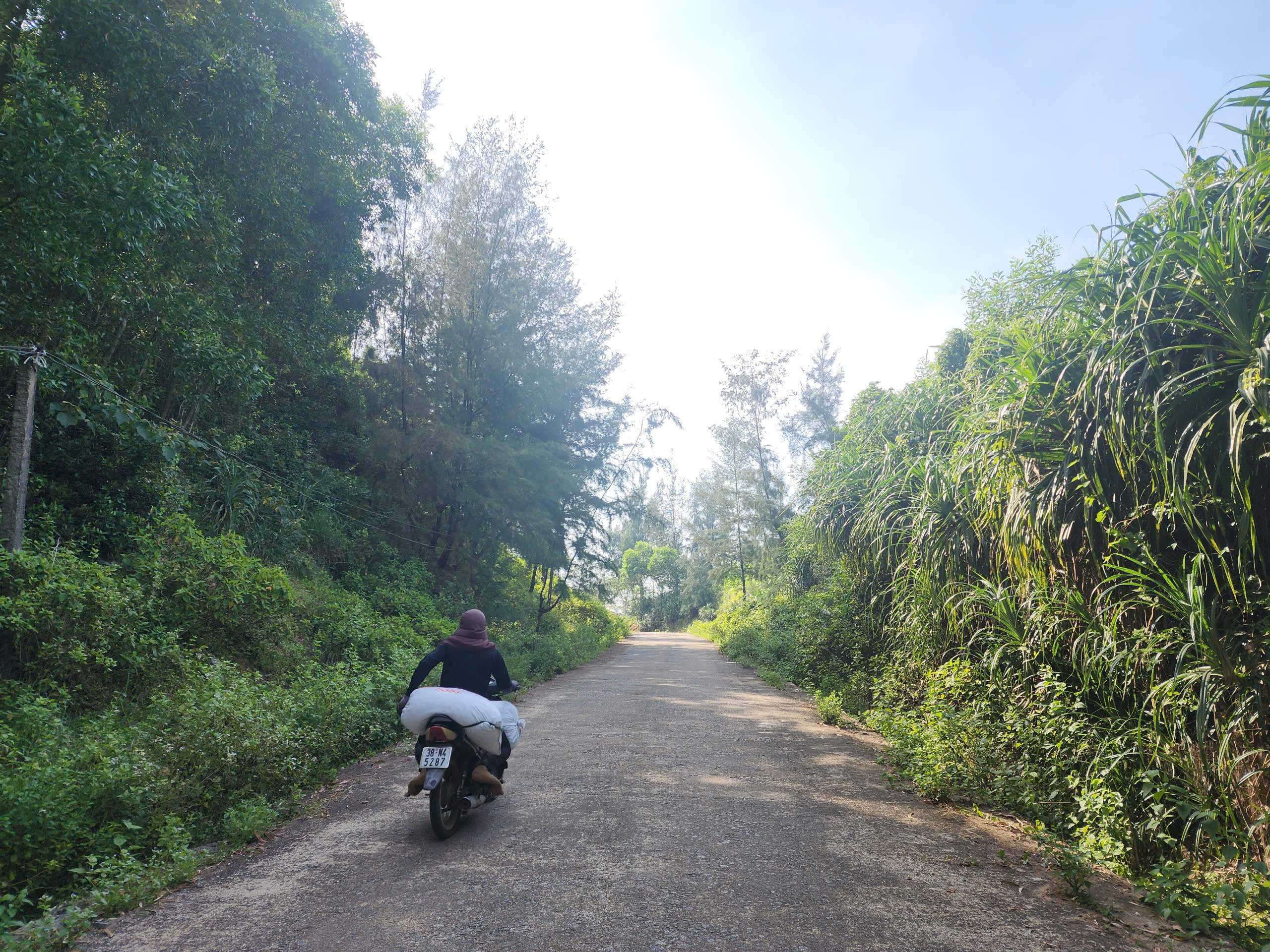 Vì sao tuyến đường ven biển đẹp nhất Hà Tĩnh vắng bóng du khách?- Ảnh 4. Vì sao tuyến đường ven biển đẹp nhất Hà Tĩnh vắng bóng du khách?- Ảnh 4.