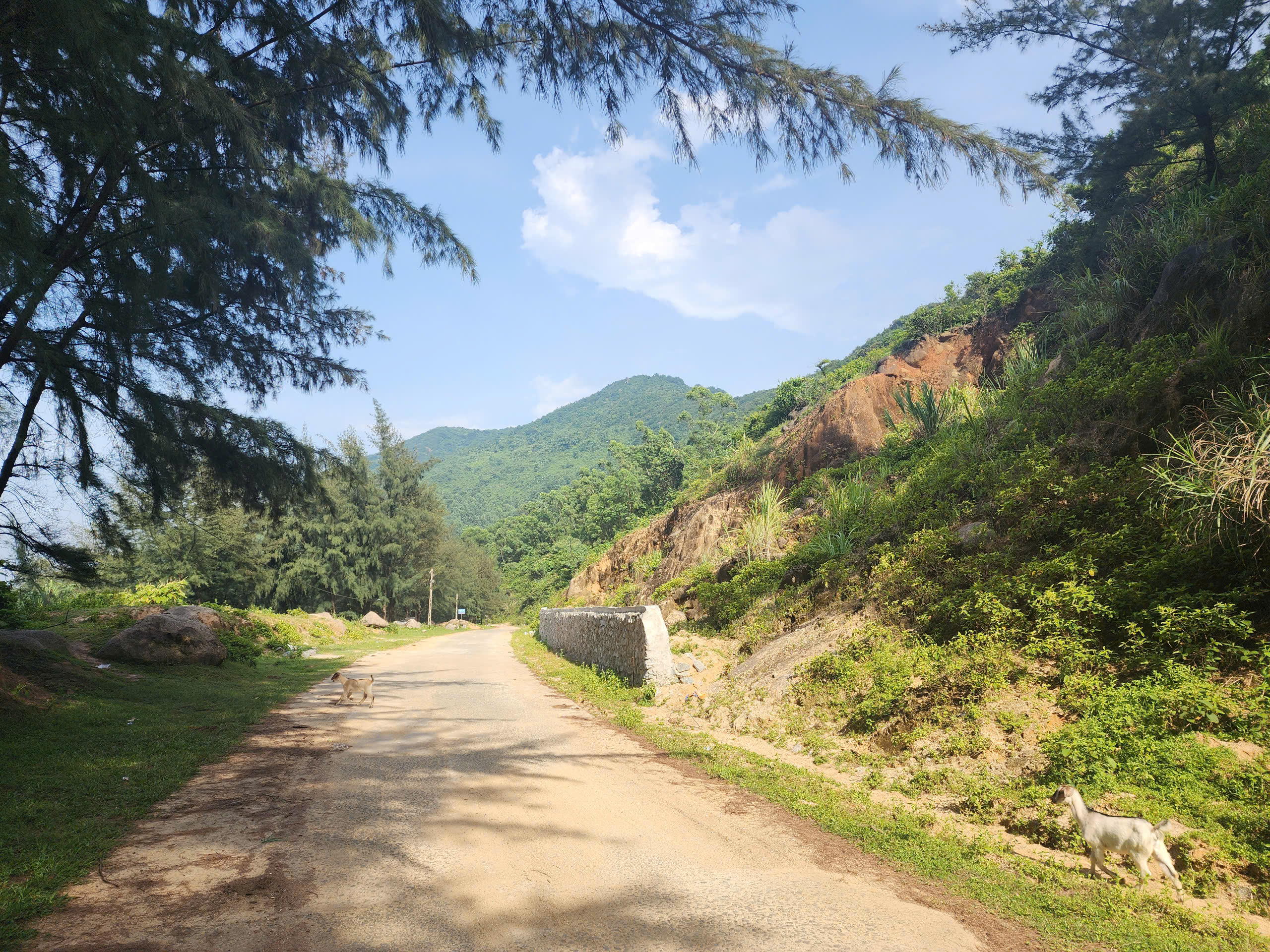 Vì sao tuyến đường ven biển đẹp nhất Hà Tĩnh vắng bóng du khách?- Ảnh 7. Vì sao tuyến đường ven biển đẹp nhất Hà Tĩnh vắng bóng du khách?- Ảnh 7.