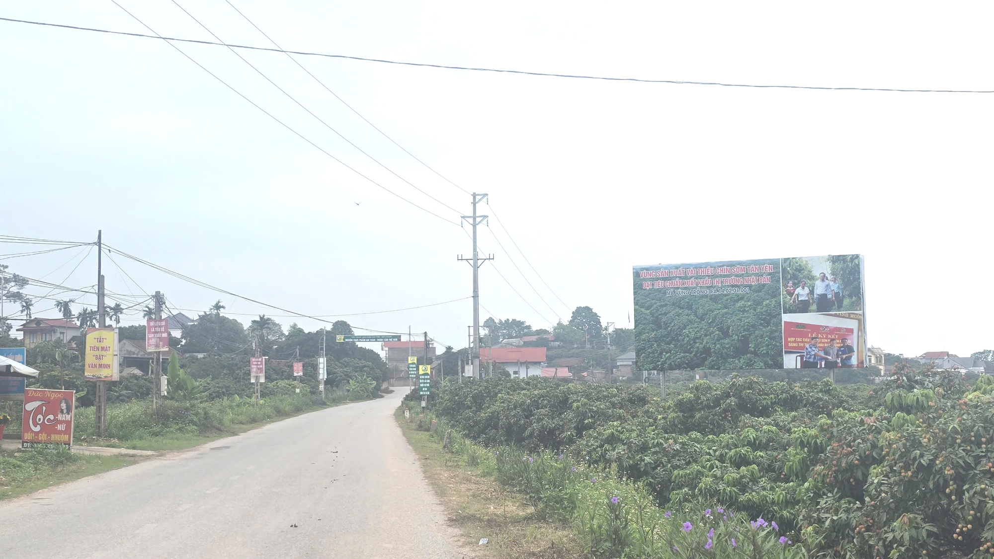 Bắc Giang: Hiệu quả từ chương tr&igrave;nh chuyển đổi số trong x&acirc;y dựng n&ocirc;ng th&ocirc;n mới- Ảnh 1.