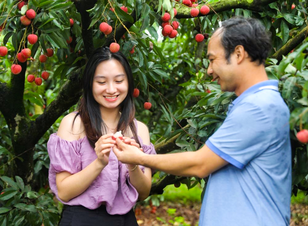 Du lịch trải nghiệm vải thiều Bắc Giang: M&ugrave;a h&egrave; ngọt ng&agrave;o, đậm đ&agrave; bản sắc qu&ecirc; hương- Ảnh 3.