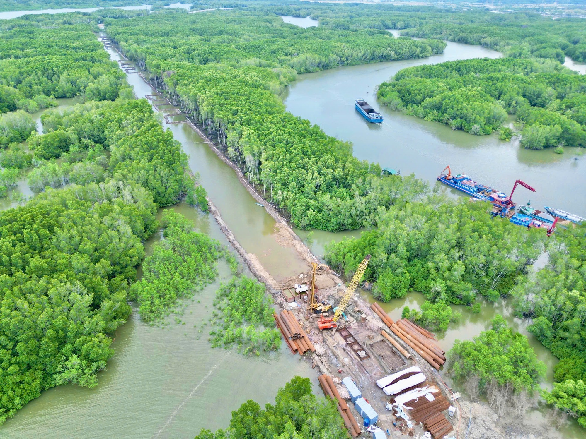 Ch&iacute;nh thức chuyển 2,5ha rừng bờ Đồng Nai để x&acirc;y cầu Phước An- Ảnh 1.