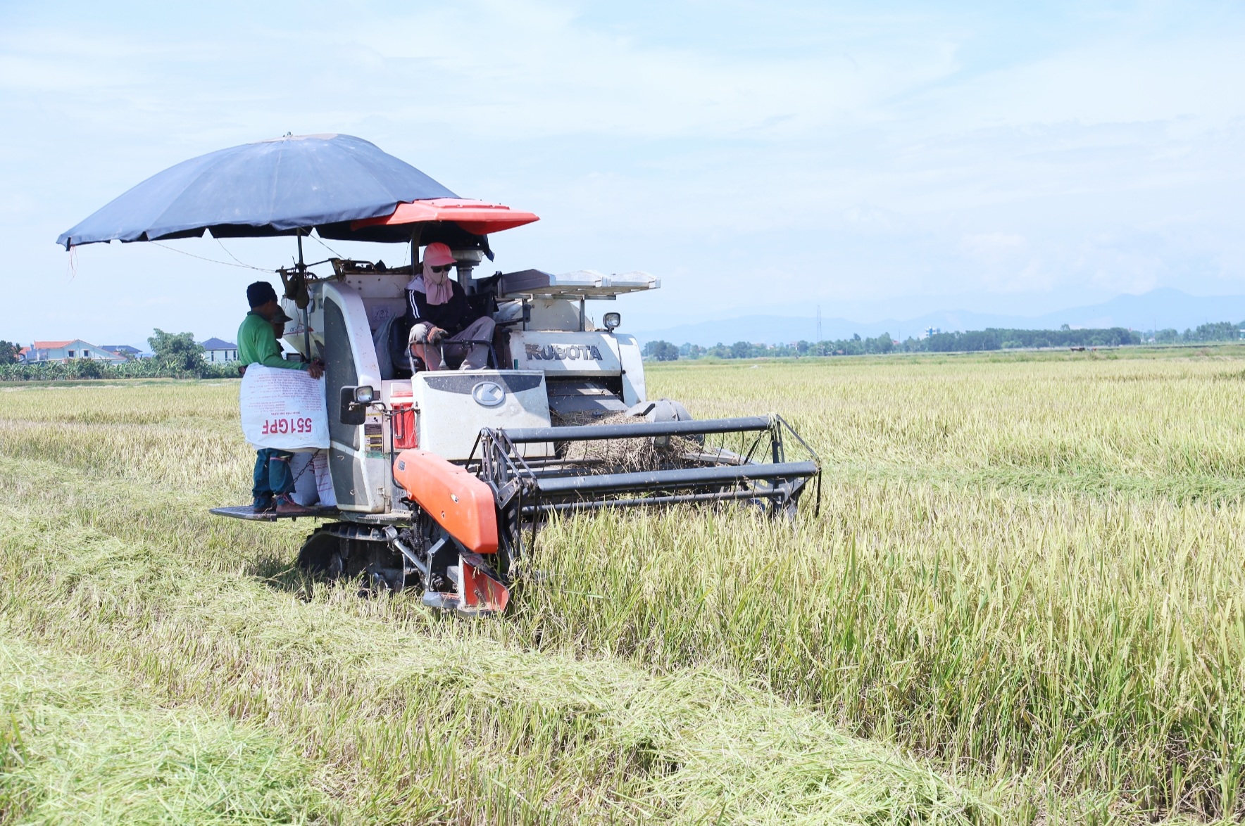 Năng suất l&uacute;a ở H&agrave; Tĩnh tăng cao nhờ ứng dụng khoa học kỹ thuật- Ảnh 1.