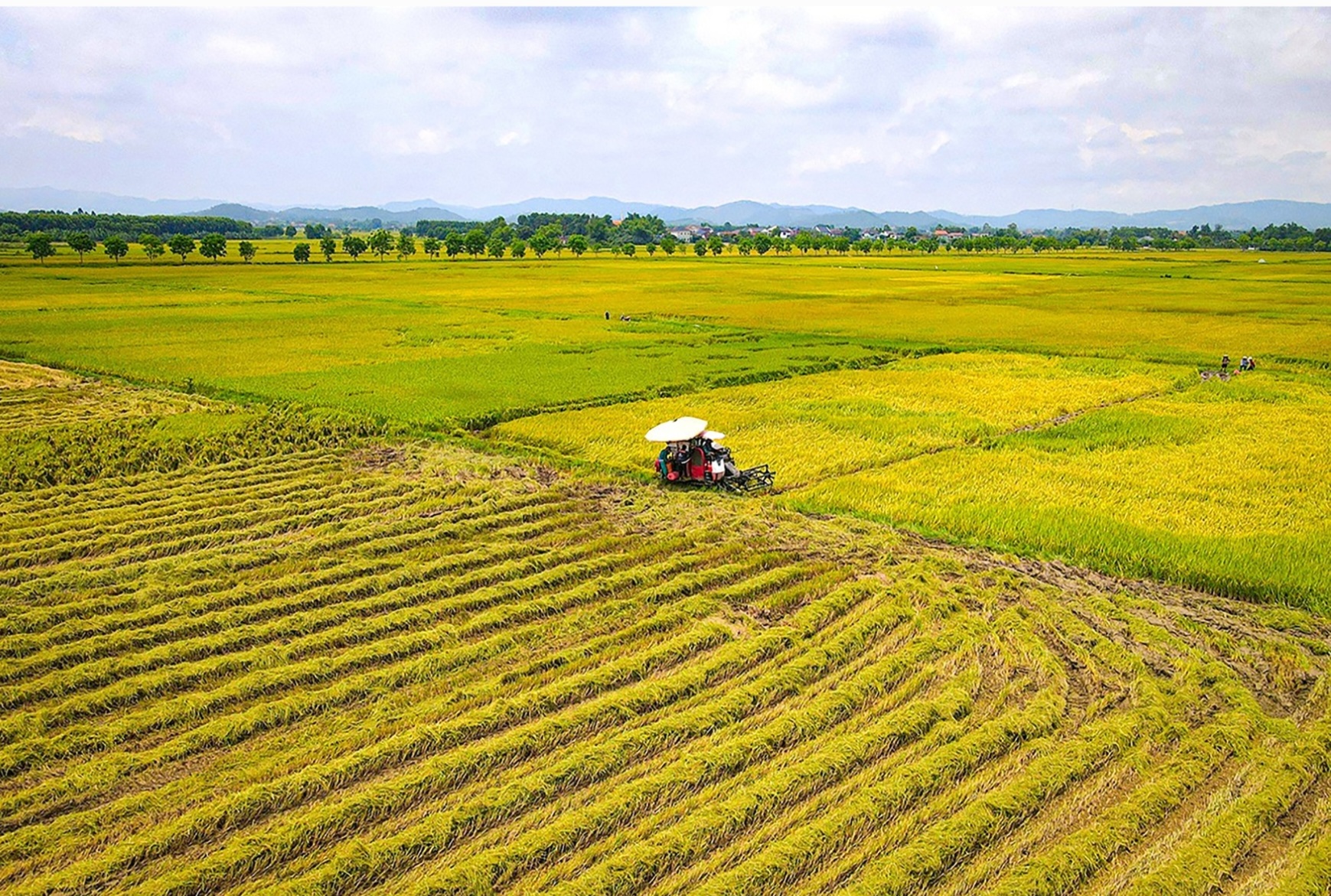 Năng suất l&uacute;a ở H&agrave; Tĩnh tăng cao nhờ ứng dụng khoa học kỹ thuật- Ảnh 2.