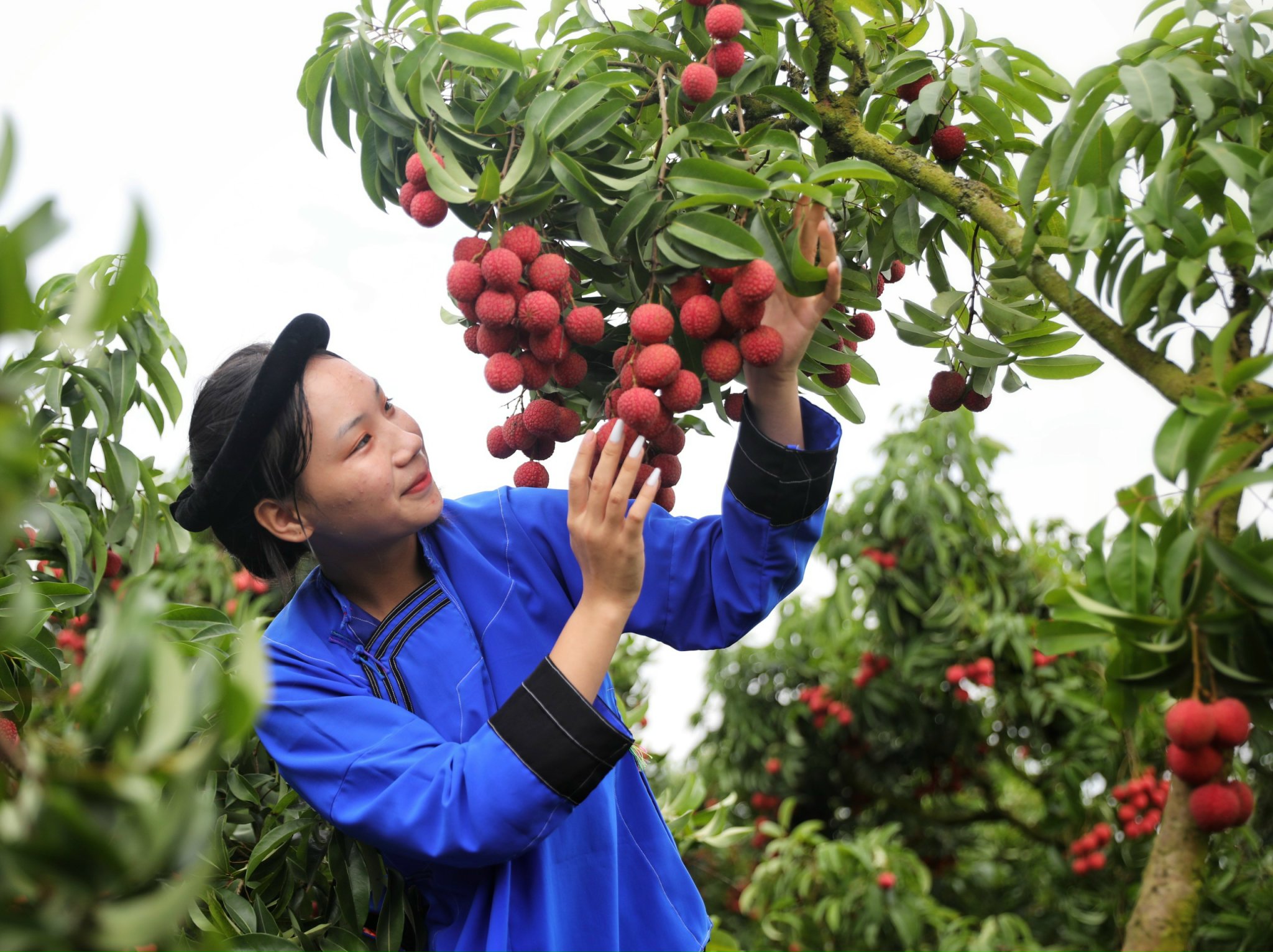 X&atilde; Ph&uacute;c H&ograve;a (Bắc Giang): Điểm s&aacute;ng chuyển đổi số trong x&acirc;y dựng n&ocirc;ng th&ocirc;n mới- Ảnh 1.