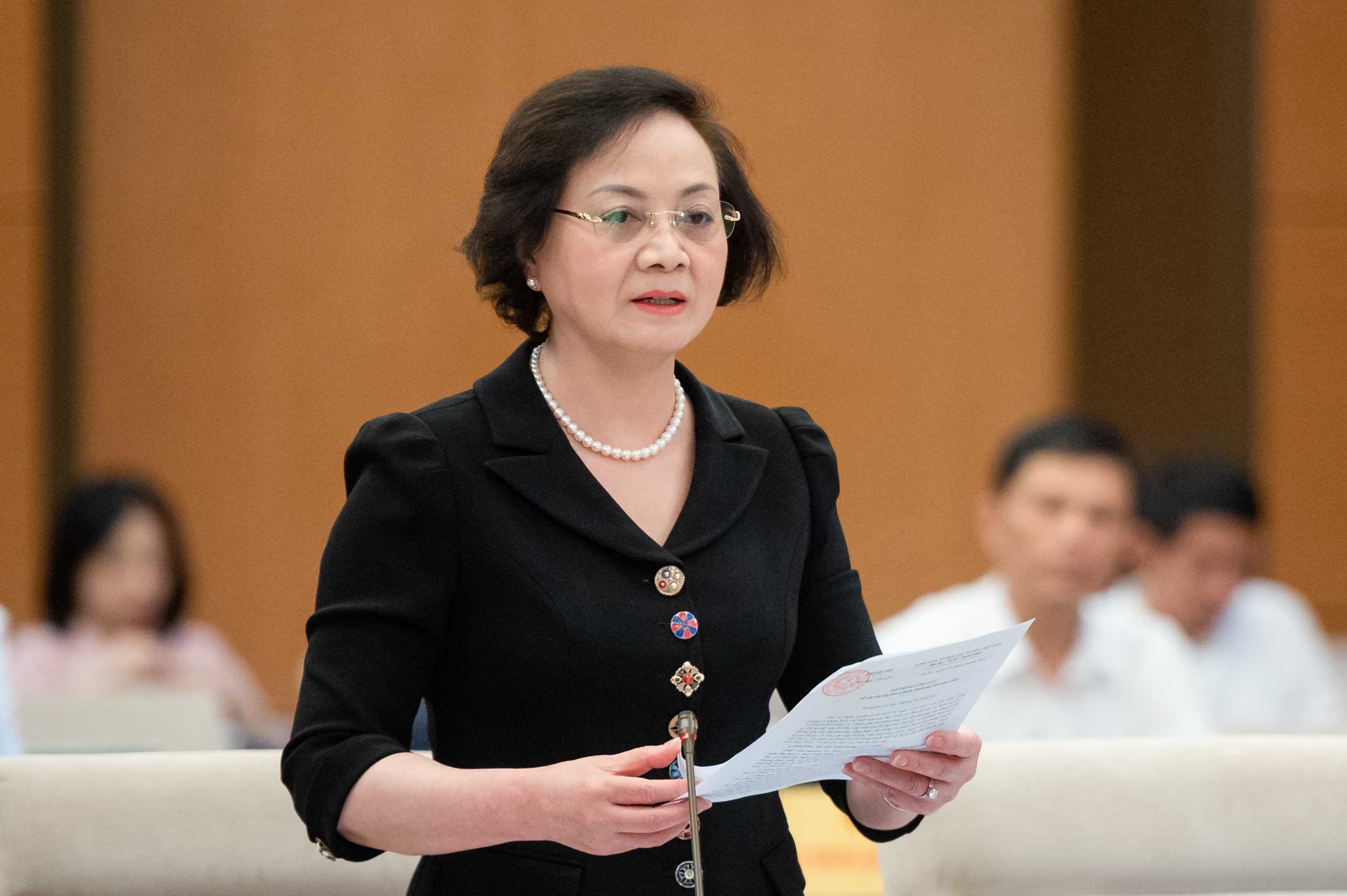 Đề xuất Quốc hội th&ocirc;ng qua Nghị quyết về s&aacute;p nhập tỉnh/th&agrave;nh sớm hơn nửa th&aacute;ng- Ảnh 1.