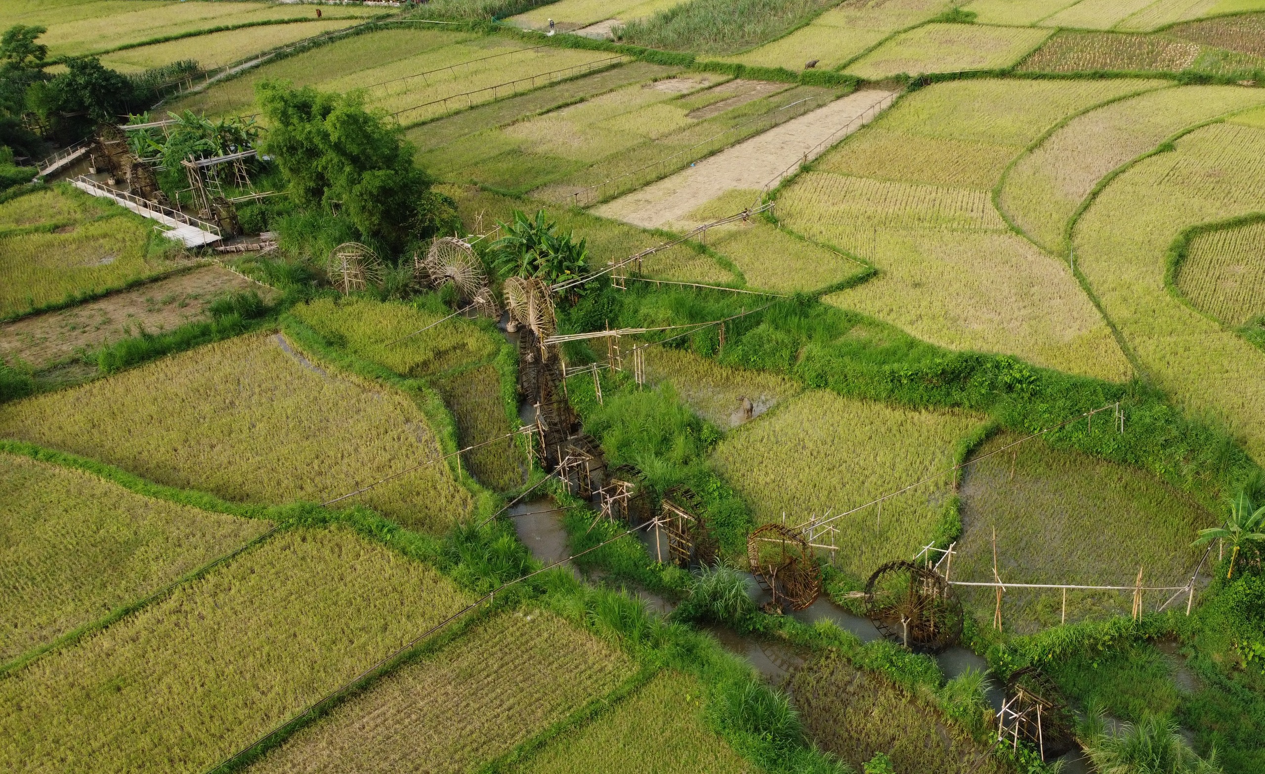 Miền T&acirc;y Thanh H&oacute;a đẹp m&ecirc; hồn giữa n&uacute;i rừng, th&aacute;c đổ v&agrave; m&ugrave;a v&agrave;ng- Ảnh 11.