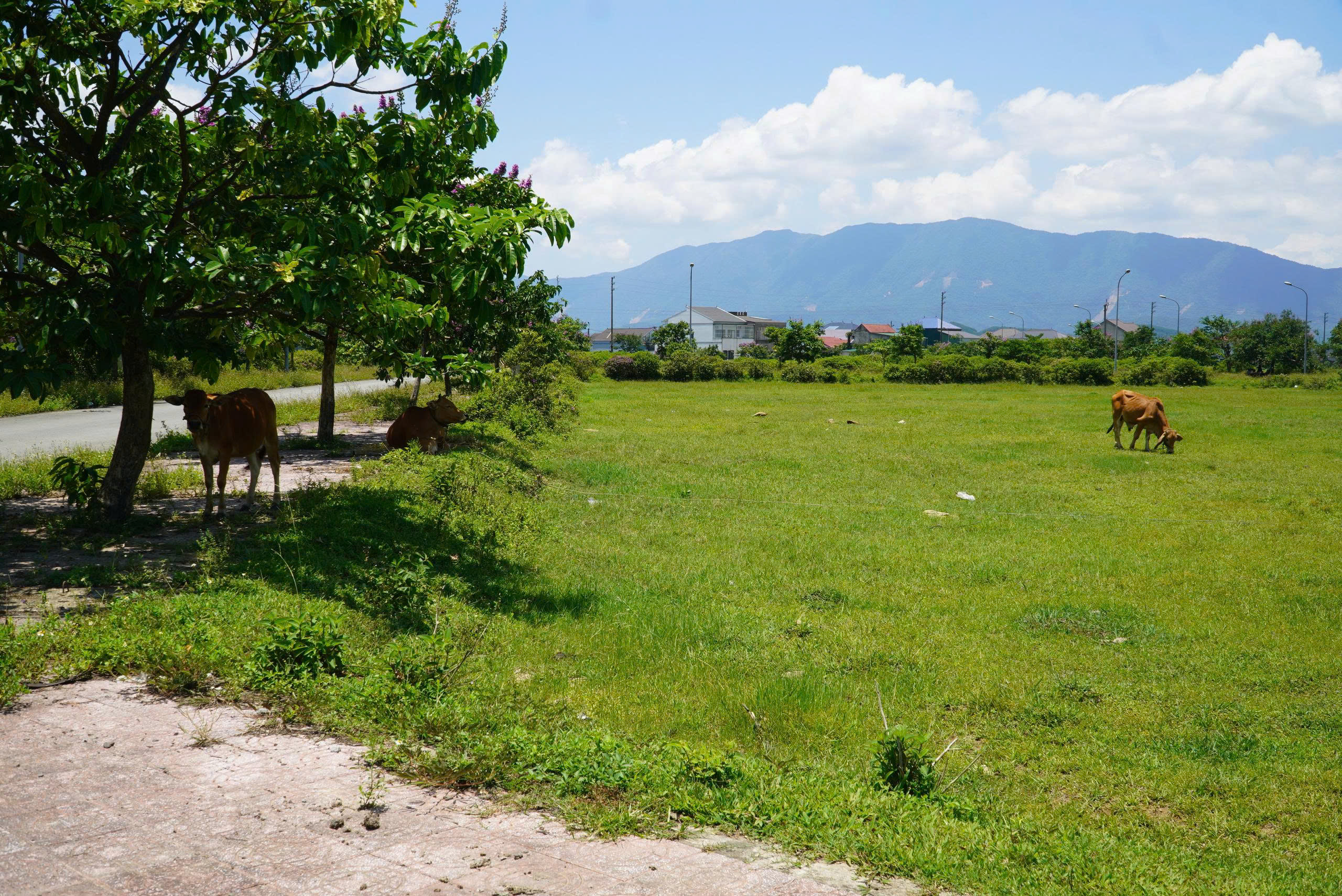 H&agrave; Tĩnh gấp r&uacute;t giải ph&oacute;ng mặt bằng đường sắt tốc độ cao, 19/8 khởi c&ocirc;ng khu t&aacute;i định cư- Ảnh 2.