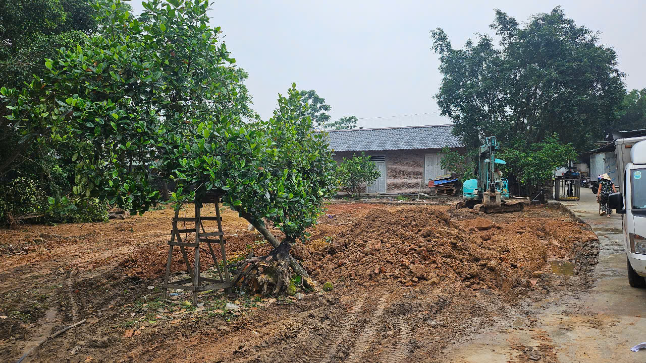 Vĩnh Ph&uacute;c: Tăng cường xử l&yacute; vi phạm đất đai tại huyện B&igrave;nh Xuy&ecirc;n- Ảnh 1.