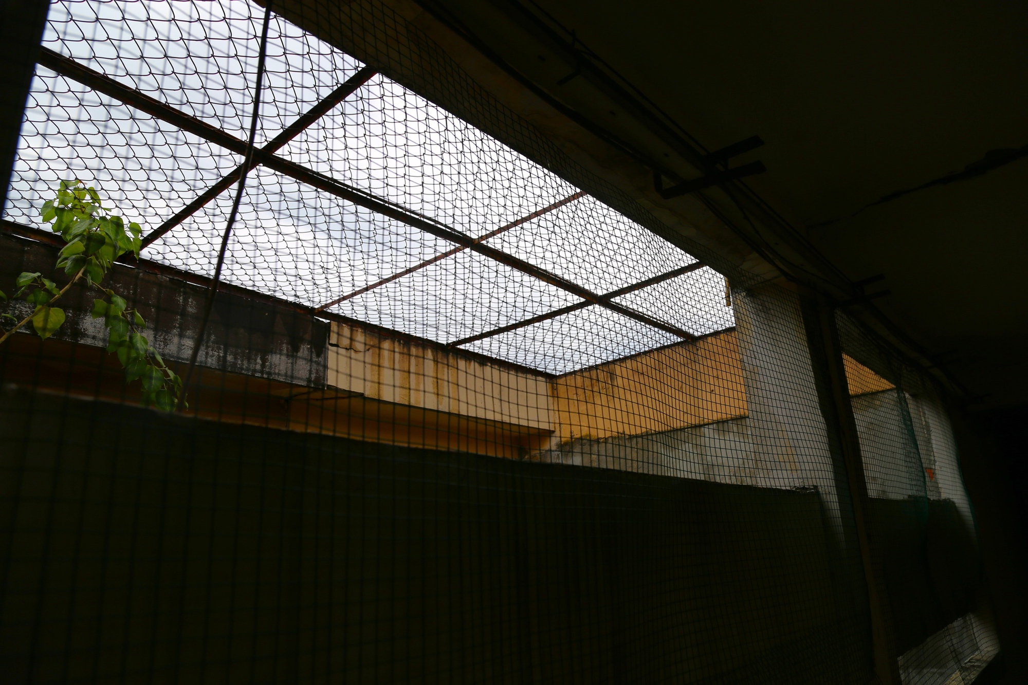 TP.HCM: Lồng sắt quây kín ban công, tiện ích hay hiểm họa?- Ảnh 9. TP.HCM: Lồng sắt quây kín ban công, tiện ích hay hiểm họa?- Ảnh 9.