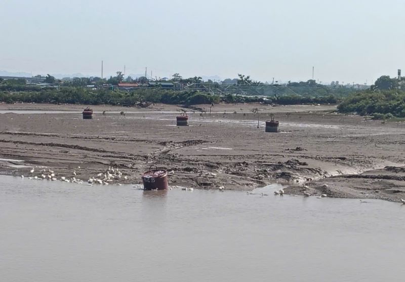 Thanh H&oacute;a: Cảng H&ograve;a Lộc bồi lắng, ngư d&acirc;n lo t&agrave;u thuyền mắc cạn- Ảnh 2.