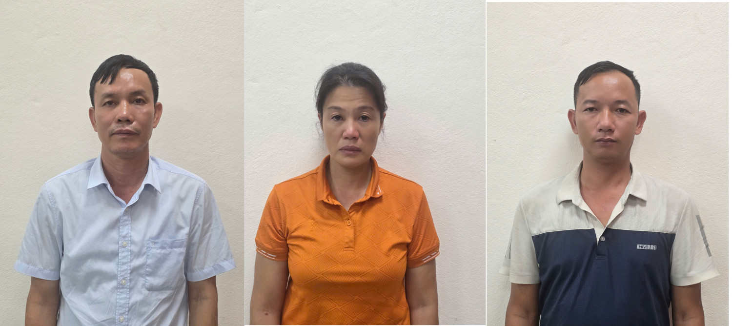 Quảng Ninh: Khởi tố ba đối tượng liên quan đến khai thác trái phép rừng tự nhiên- Ảnh 1. Quảng Ninh: Khởi tố ba đối tượng liên quan đến khai thác trái phép rừng tự nhiên- Ảnh 1.