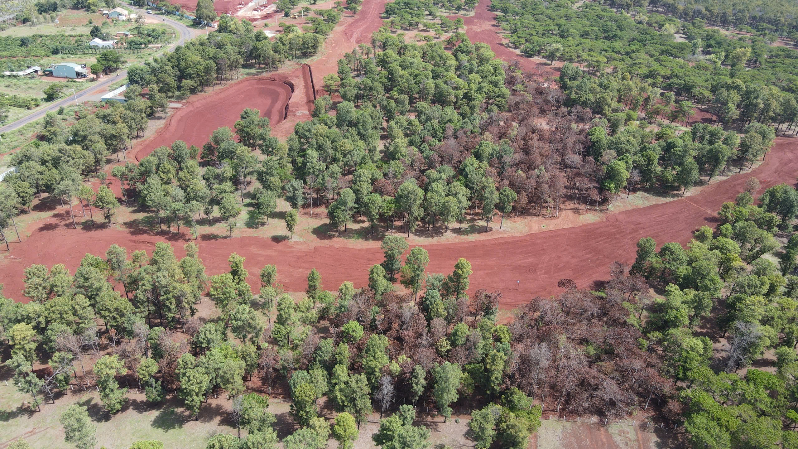 Gia Lai: Cận cảnh dự &aacute;n s&acirc;n golf Đak Đoa sau ba năm bỏ hoang- Ảnh 7.
