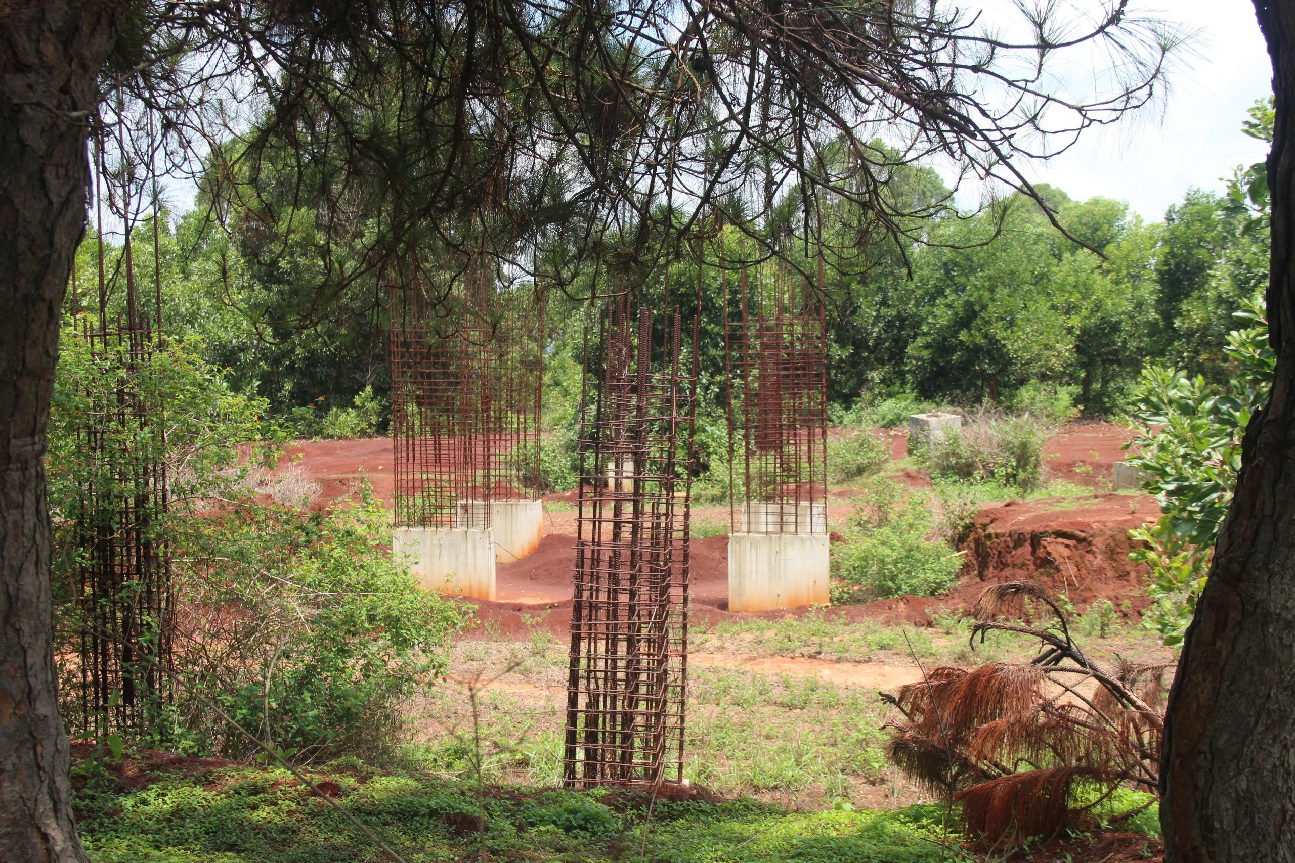 Gia Lai: Cận cảnh dự &aacute;n s&acirc;n golf Đak Đoa sau ba năm bỏ hoang- Ảnh 10.