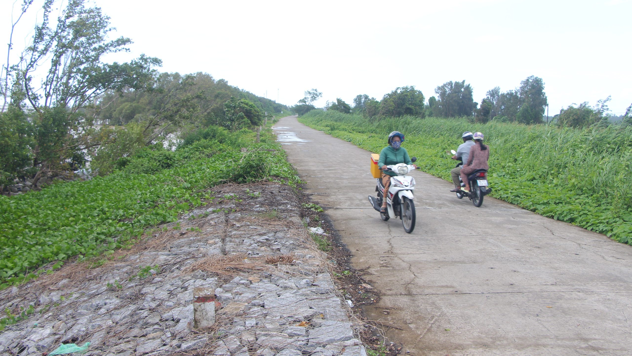 C&agrave; Mau: Đ&ecirc; biển T&acirc;y "oằn m&igrave;nh" giữa m&ugrave;a mưa b&atilde;o- Ảnh 11.