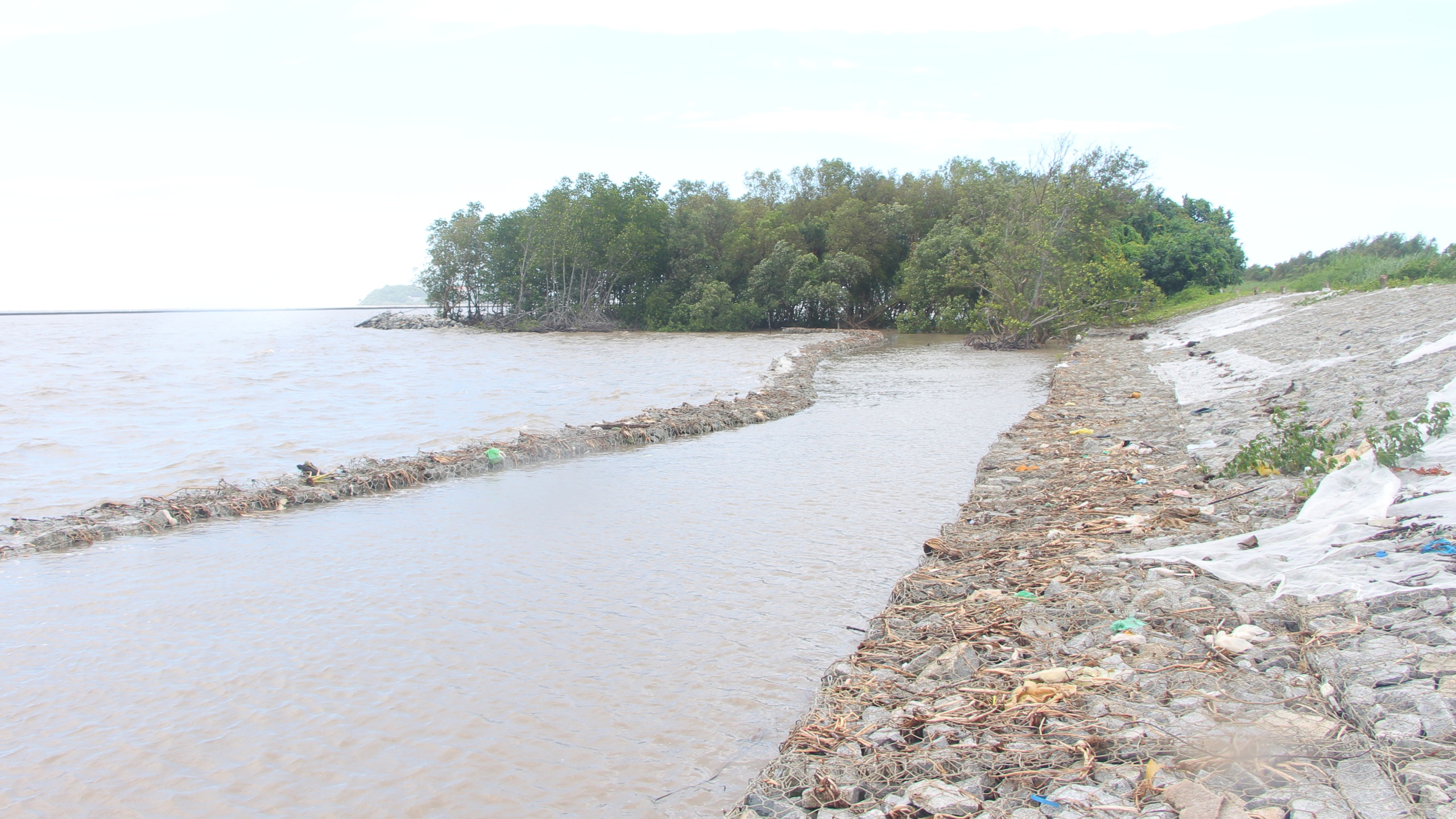 C&agrave; Mau: Đ&ecirc; biển T&acirc;y "oằn m&igrave;nh" giữa m&ugrave;a mưa b&atilde;o- Ảnh 6.