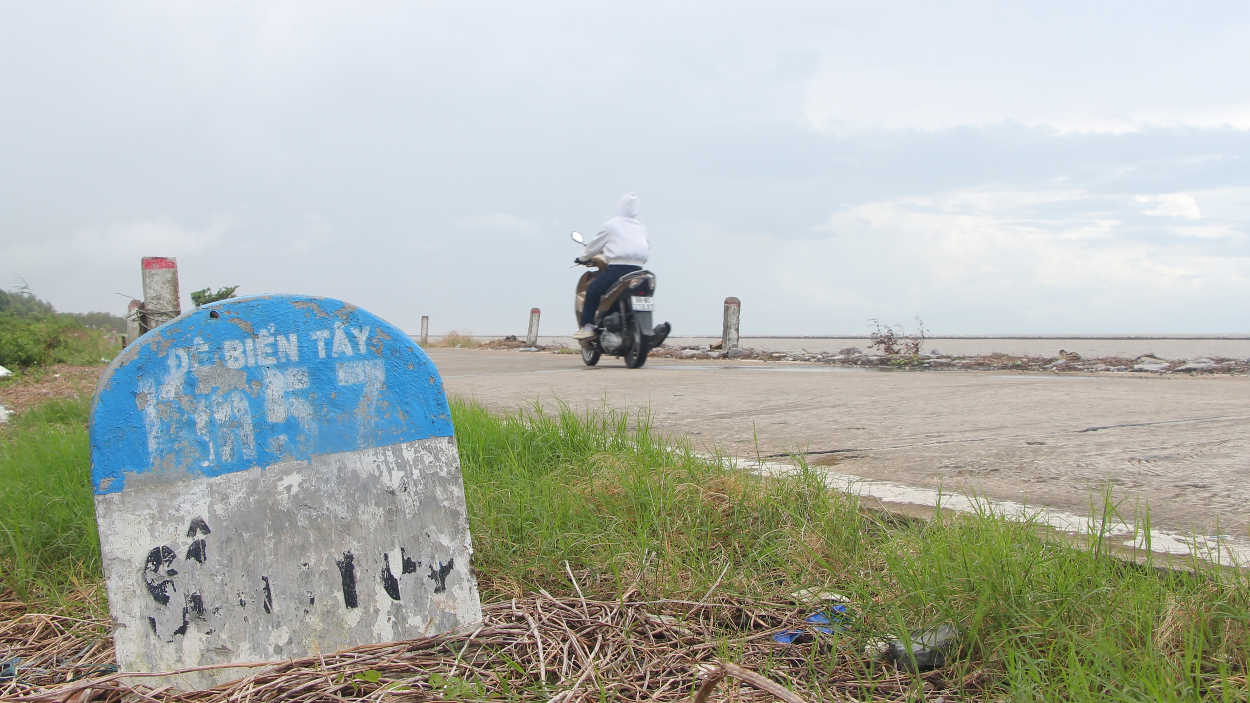 C&agrave; Mau: Đ&ecirc; biển T&acirc;y "oằn m&igrave;nh" giữa m&ugrave;a mưa b&atilde;o- Ảnh 1.