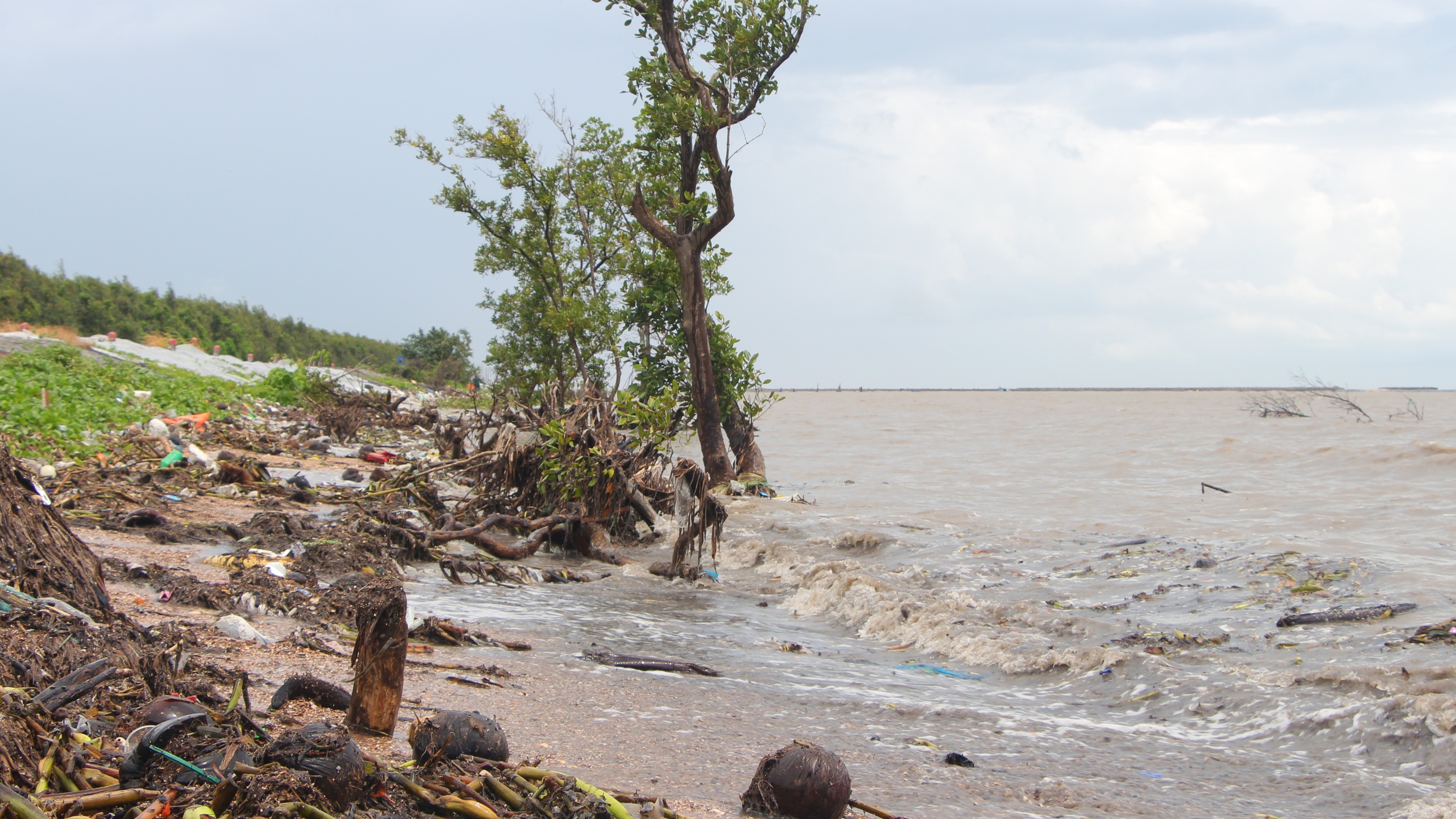 C&agrave; Mau: Đ&ecirc; biển T&acirc;y "oằn m&igrave;nh" giữa m&ugrave;a mưa b&atilde;o- Ảnh 12.
