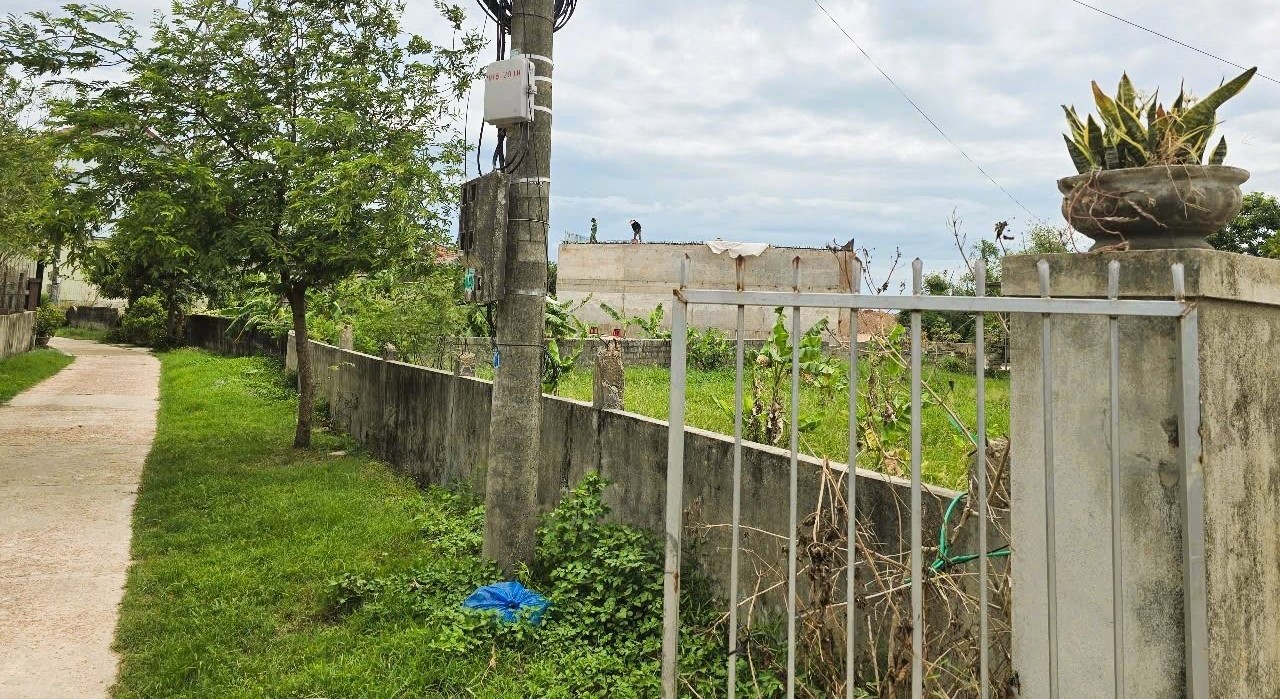 C&ocirc;ng tr&igrave;nh cầu v&ograve;m th&eacute;p, đường ven biển qua tỉnh Quảng Trị đang thi c&ocirc;ng thế n&agrave;o?- Ảnh 15.