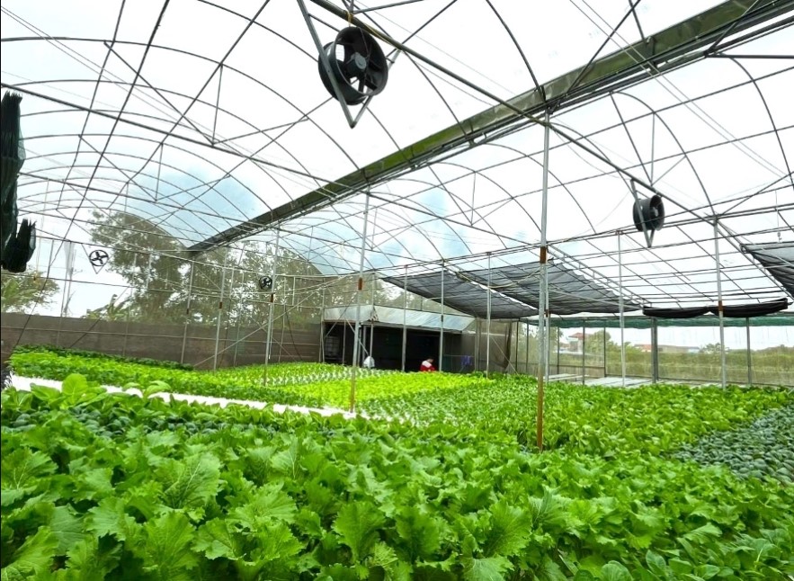 Tầm nh&igrave;n "xanh" từ bộ ti&ecirc;u ch&iacute; m&ocirc;i trường của Ch&iacute;nh phủ v&agrave; h&agrave;nh động của Agribank- Ảnh 3.