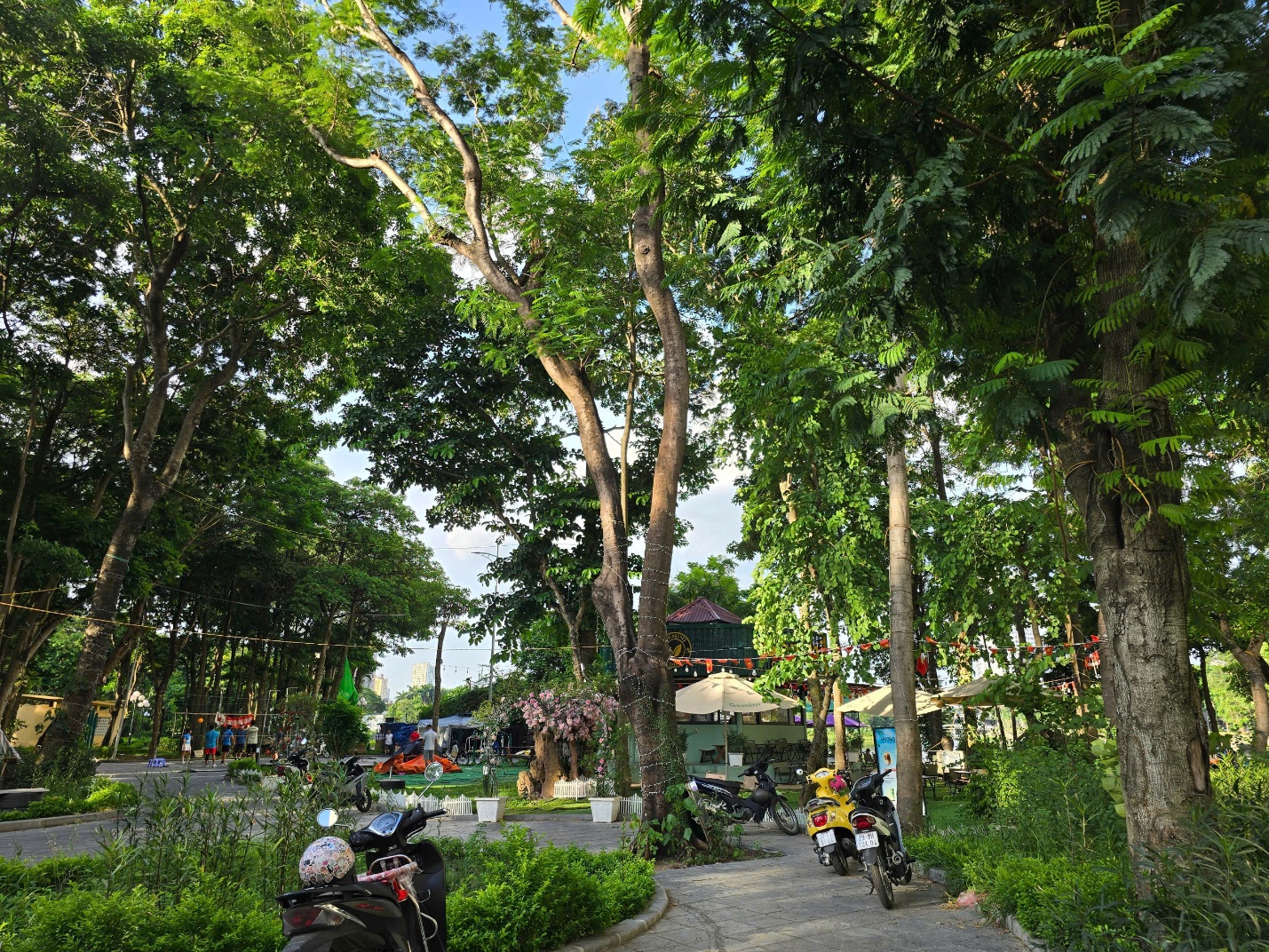 Cần mạnh tay xử l&yacute; t&igrave;nh trạng chiếm dụng c&ocirc;ng vi&ecirc;n, hồ nước ở H&agrave; Nội- Ảnh 7.