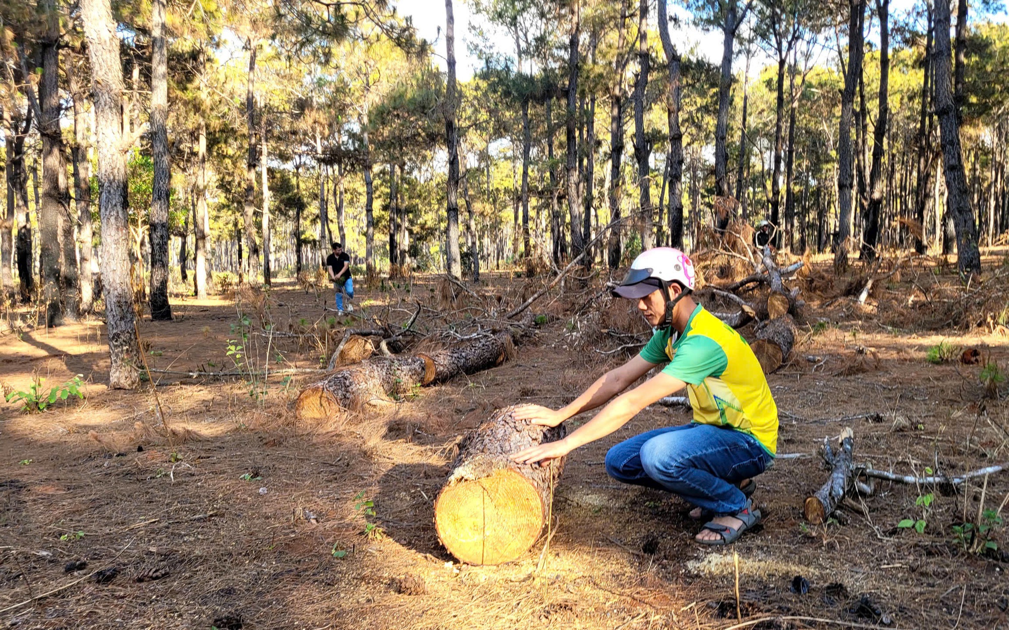 Gia Lai: Chợ tiền tỷ bỏ hoang, người dân tận dụng... phơi rơm rạ- Ảnh 6. Gia Lai: Cận cảnh dự án sân golf Đak Đoa sau ba năm bỏ hoang