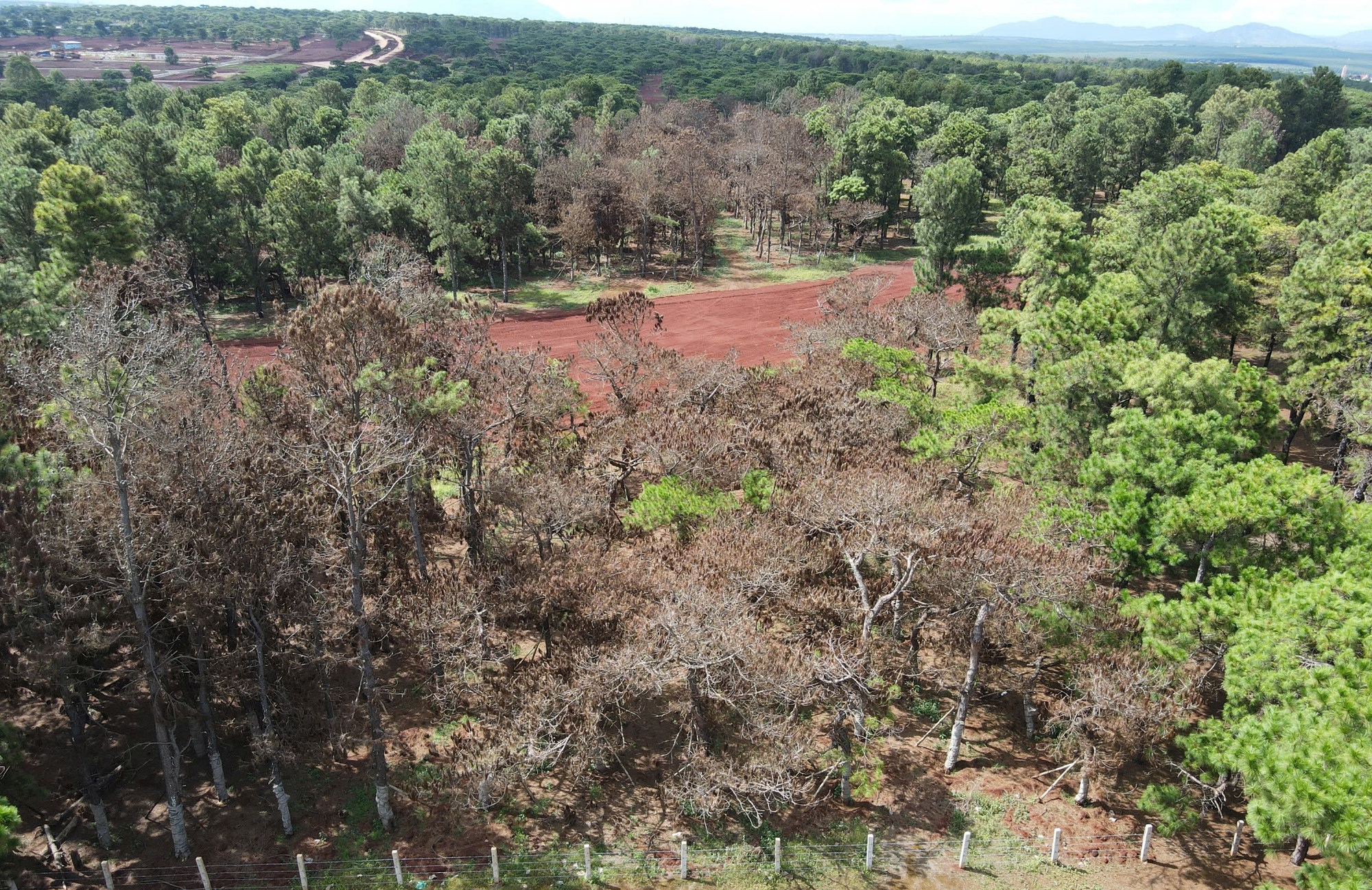Gia Lai: Cận cảnh dự &aacute;n s&acirc;n golf Đak Đoa sau ba năm bỏ hoang- Ảnh 6.