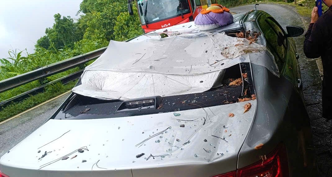 L&acirc;m Đồng: Mưa lớn, nhiều &ocirc; t&ocirc; bị c&acirc;y cổ thụ ng&atilde; đ&egrave; hư hỏng, biến dạng- Ảnh 4.