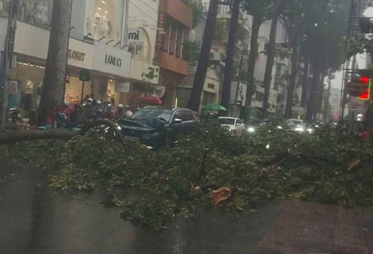 Gi&ocirc;ng lốc c&agrave;n qu&eacute;t TP.HCM: Nhiều căn nh&agrave; tốc m&aacute;i, c&acirc;y xanh, cột điện ng&atilde; đổ- Ảnh 12.