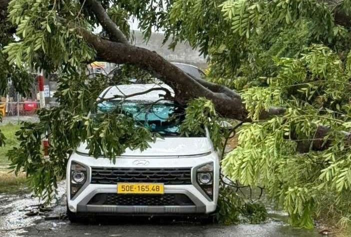 Gi&ocirc;ng lốc c&agrave;n qu&eacute;t TP.HCM: Nhiều căn nh&agrave; tốc m&aacute;i, c&acirc;y xanh, cột điện ng&atilde; đổ- Ảnh 1.